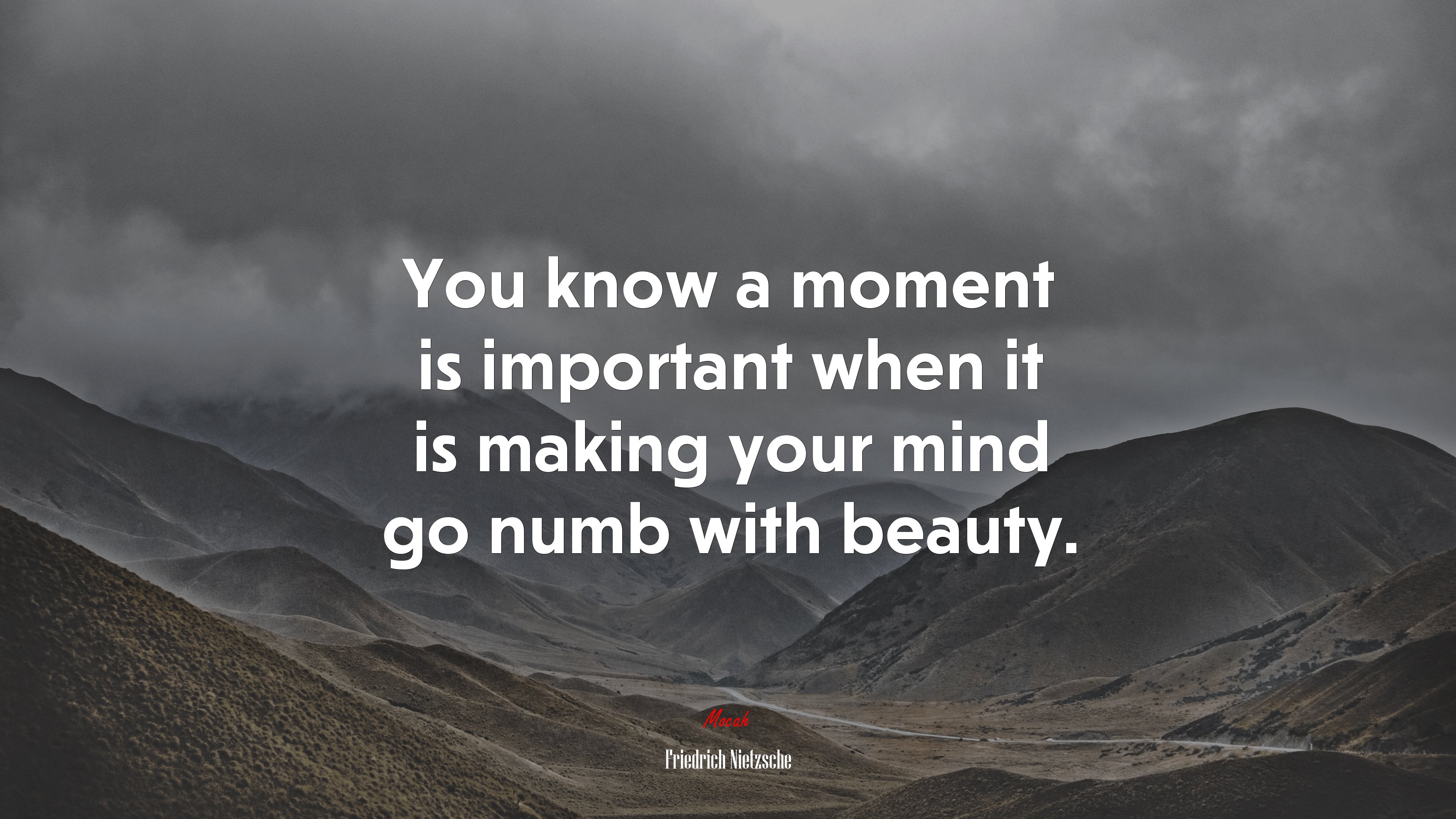 You know a moment is important when it is making your mind go numb with beauty. | Friedrich Nietzsche quote HD Wallpaper