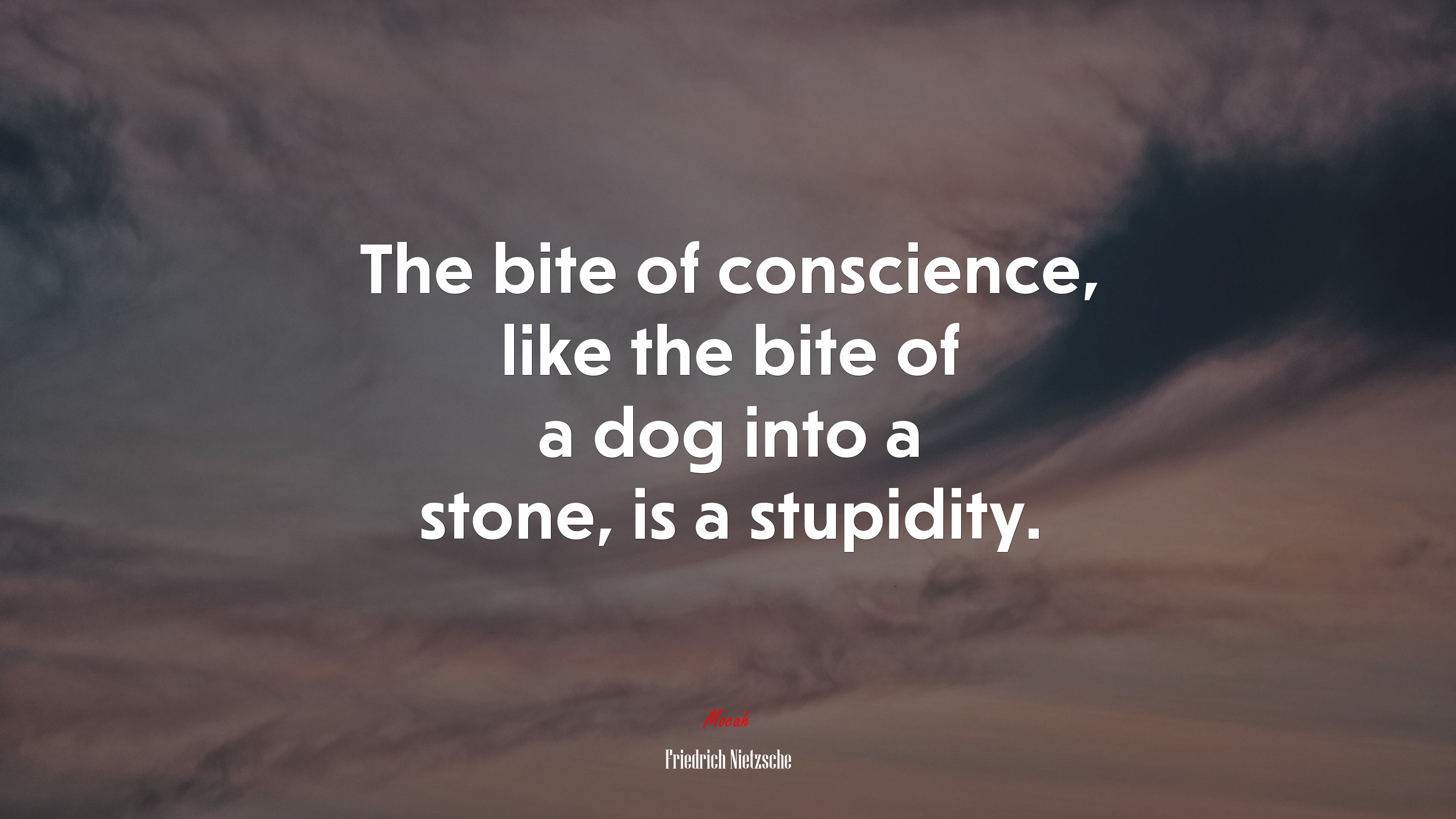 The bite of conscience, like the bite of a dog into a stone, is a stupidity. | Friedrich Nietzsche quote HD Wallpaper