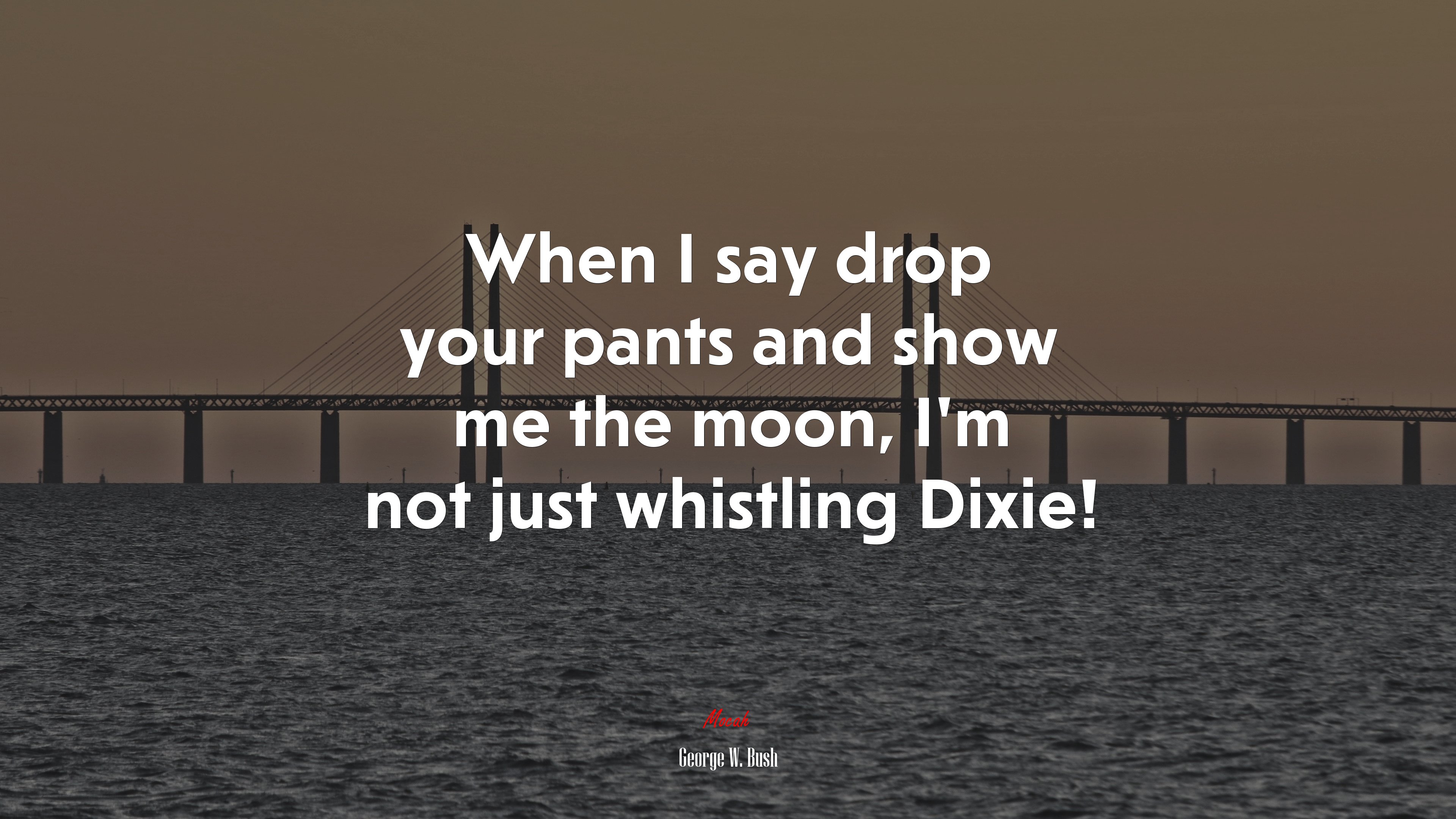 When I say drop your pants and show me the moon, I’m not just whistling Dixie! | George W. Bush quote HD Wallpaper