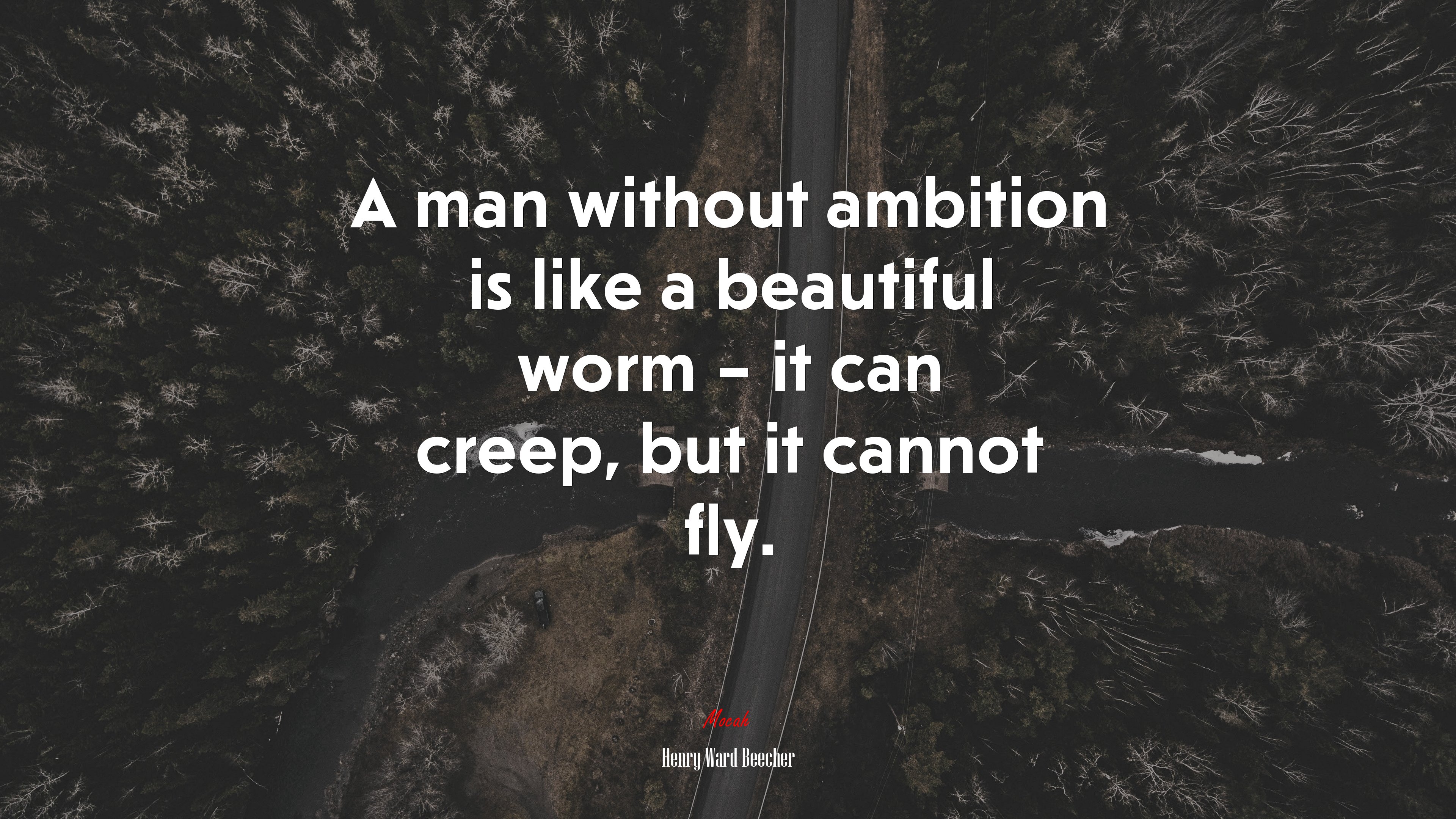 A man without ambition is like a beautiful worm – it can creep, but it cannot fly. | Henry Ward Beecher quote HD Wallpaper
