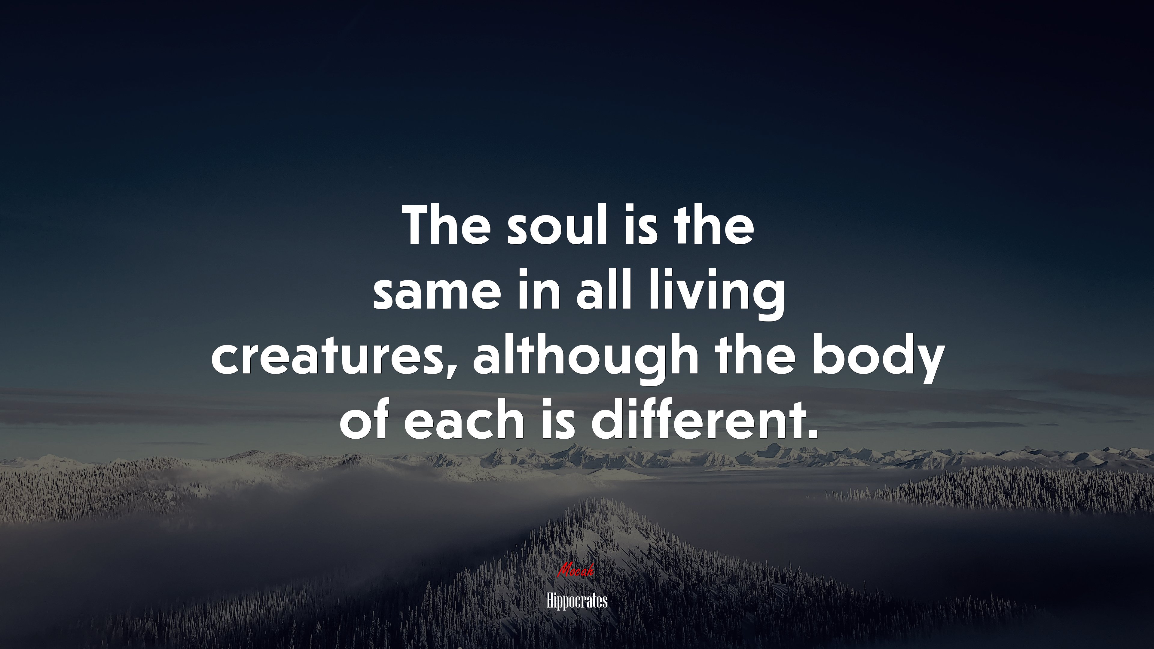 The soul is the same in all living creatures, although the body of each is different. | Hippocrates quote HD Wallpaper