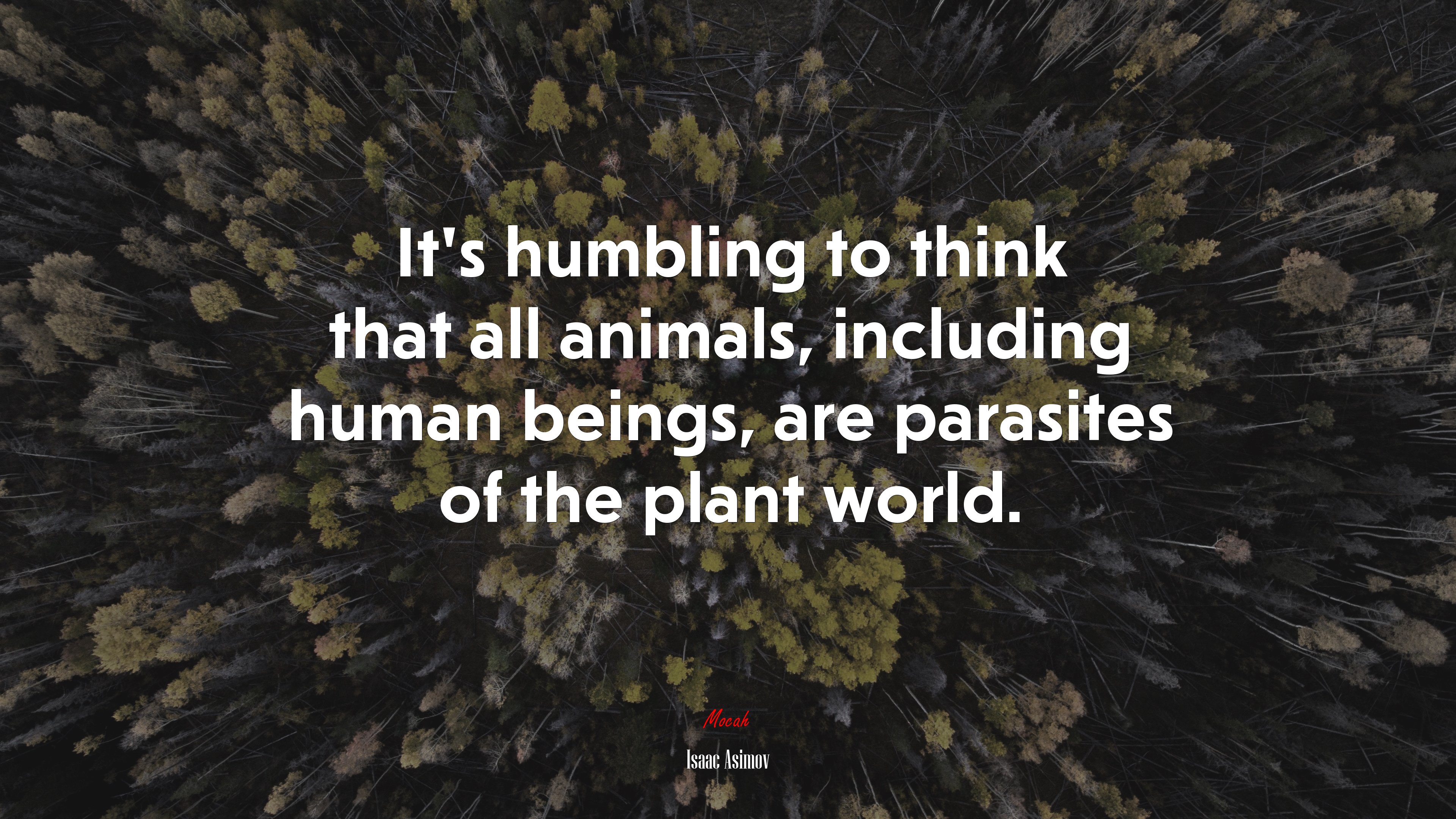 It’s humbling to think that all animals, including human beings, are parasites of the plant world. | Isaac Asimov quote HD Wallpaper