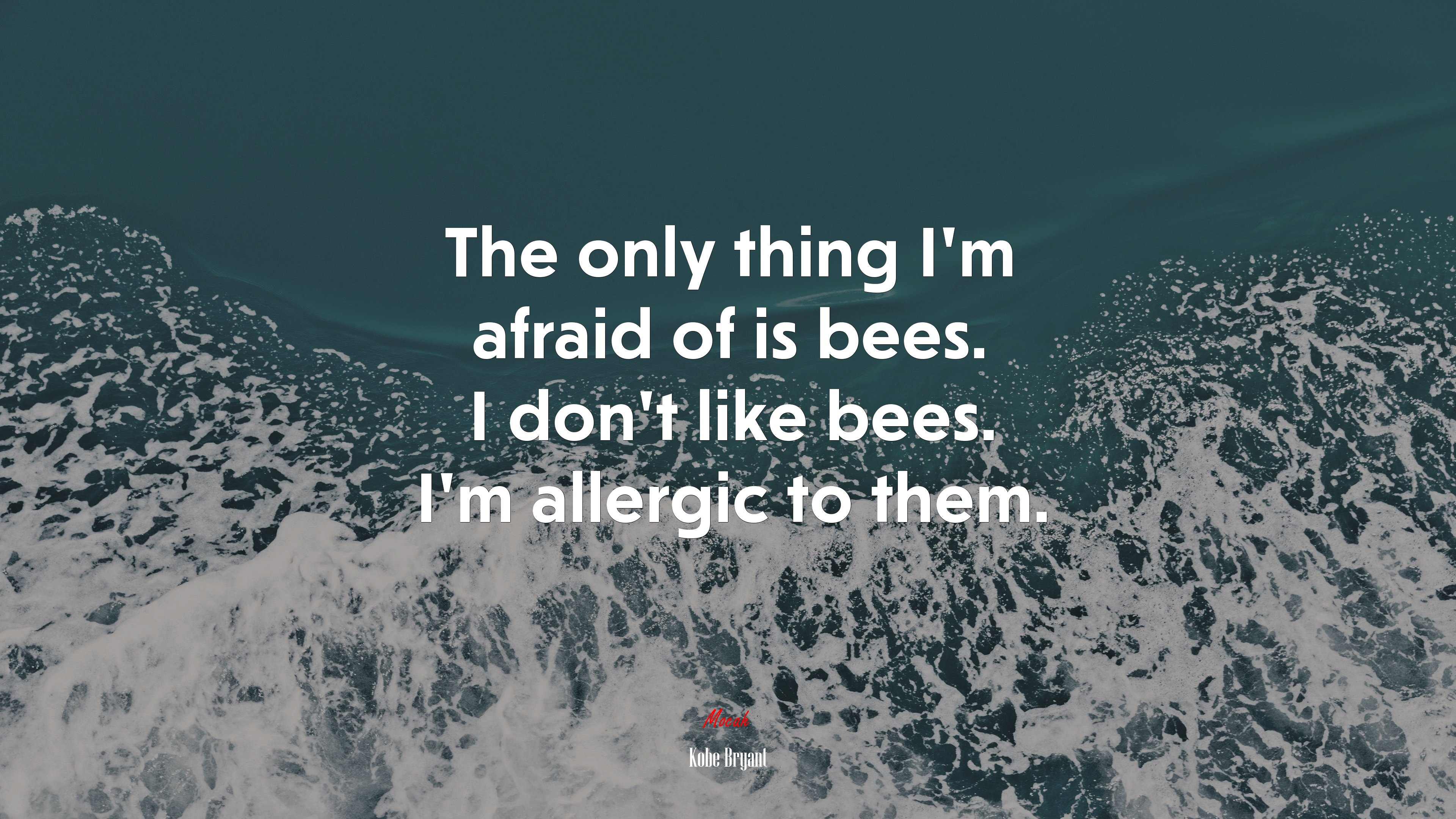 The only thing I’m afraid of is bees. I don’t like bees. I’m allergic to them. | Kobe Bryant quote HD Wallpaper