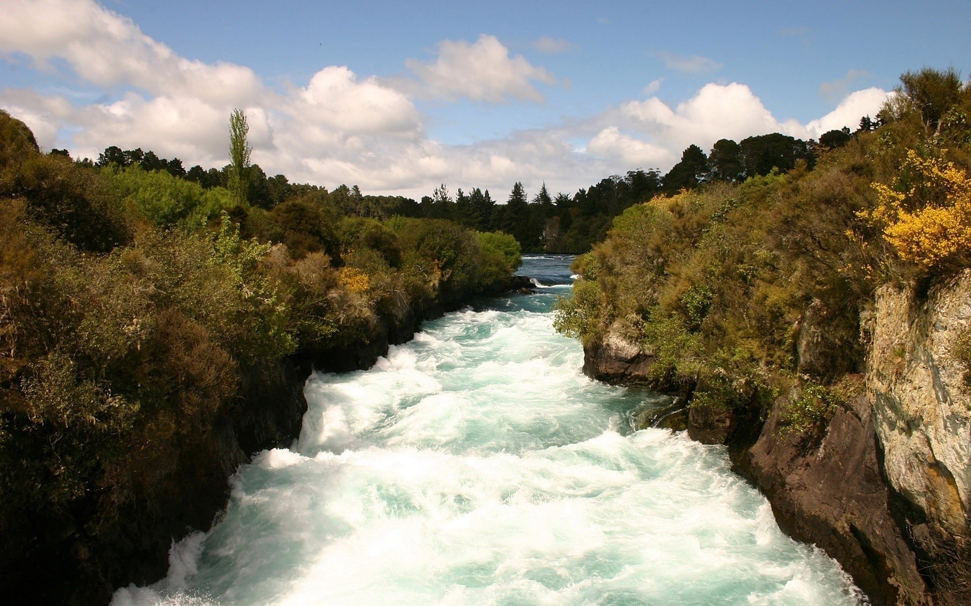 White water rapids flowing through a gorge with trees HD Wallpaper