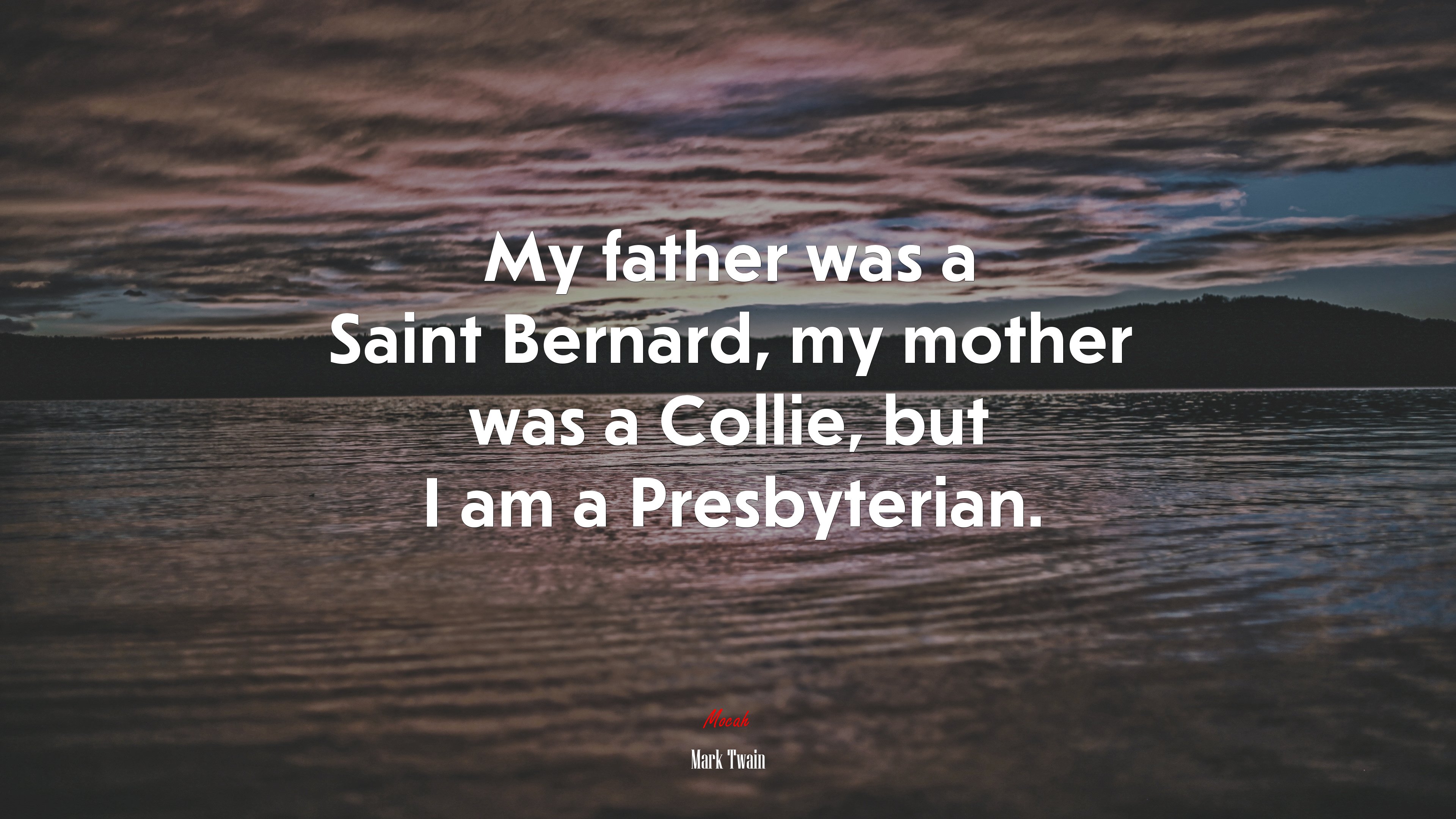 My father was a Saint Bernard, my mother was a Collie, but I am a Presbyterian. | Mark Twain quote HD Wallpaper