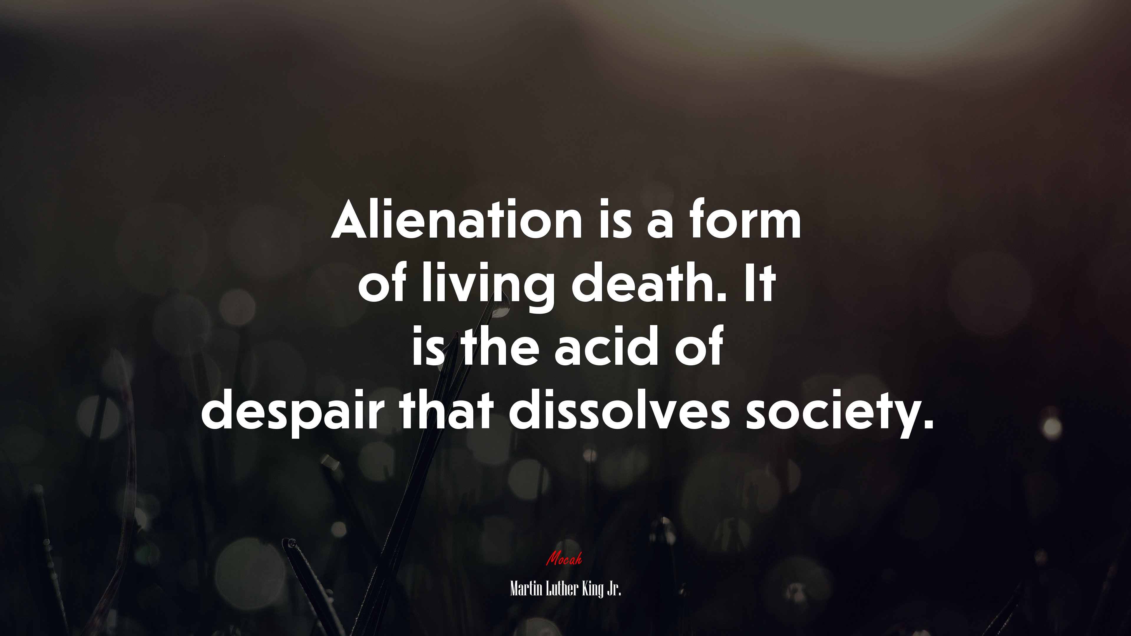 Alienation is a form of living death. It is the acid of despair that dissolves society. | Martin Luther King Jr. quote HD Wallpaper