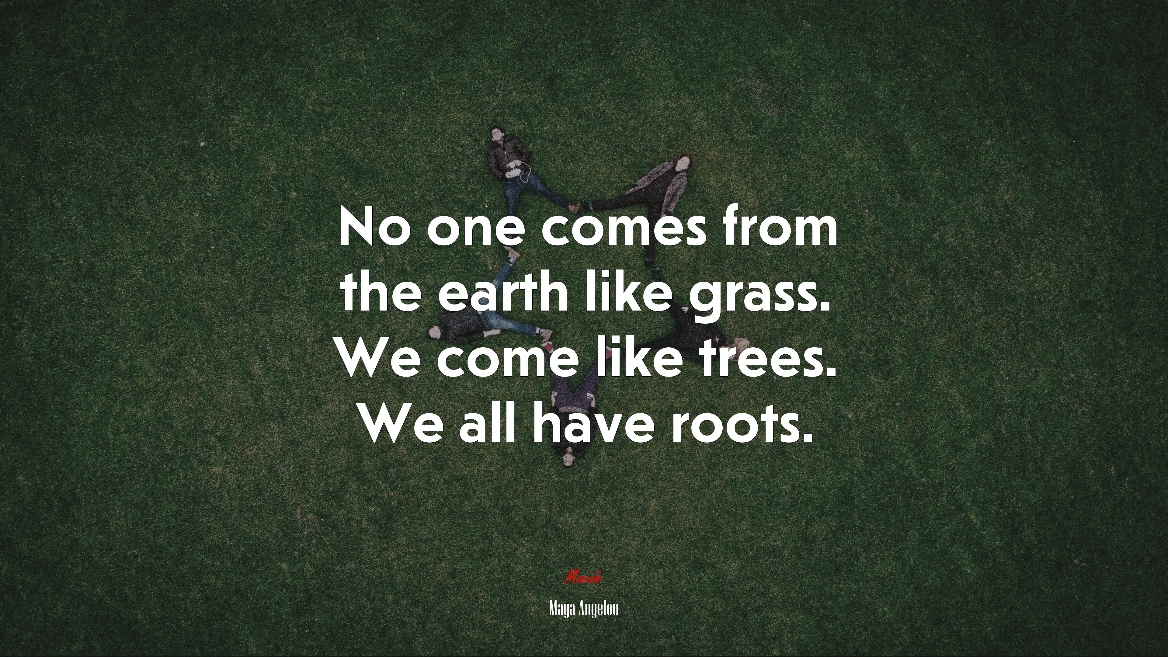 No one comes from the earth like grass. We come like trees. We all have roots. | Maya Angelou quote HD Wallpaper