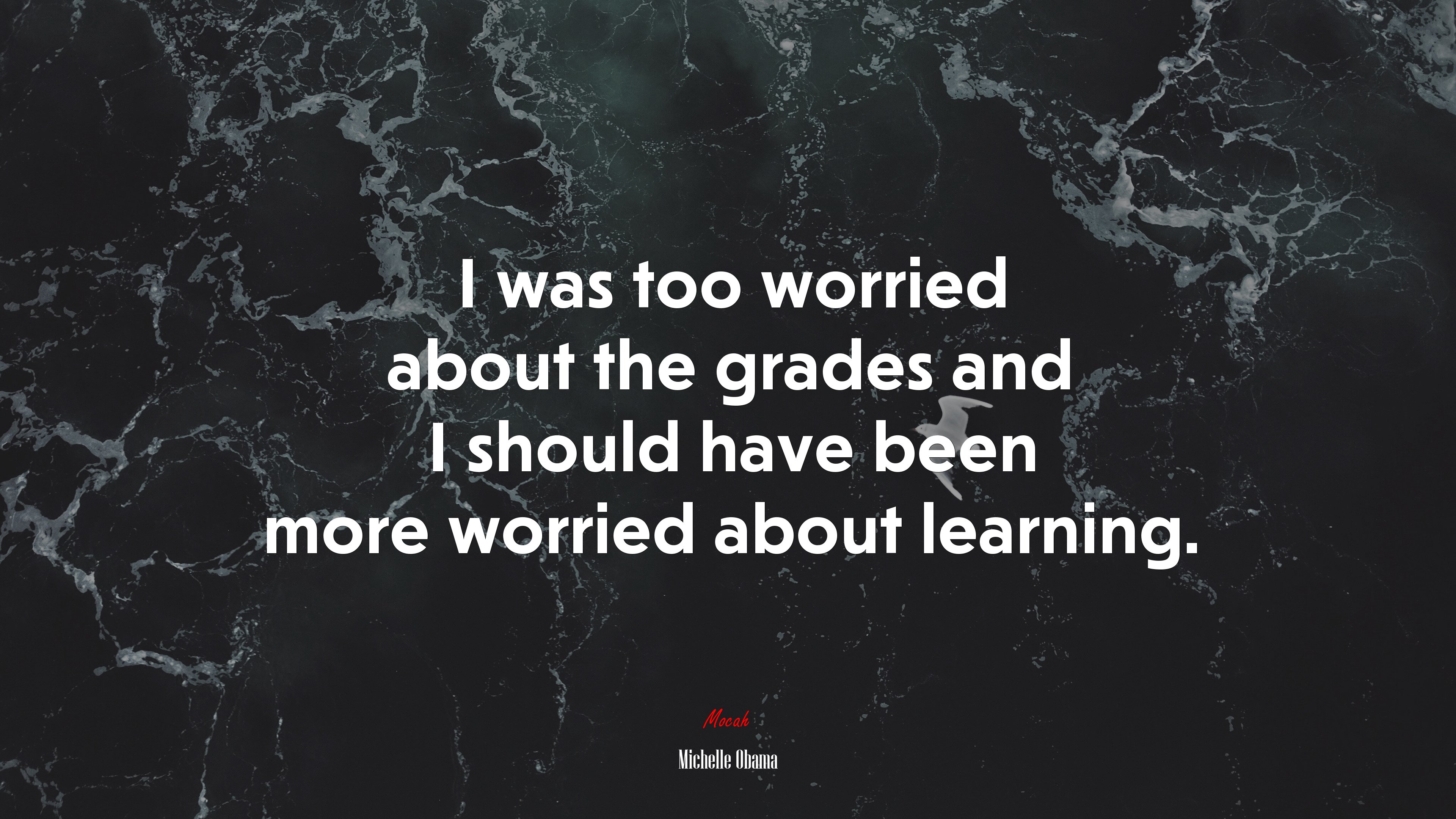 I was too worried about the grades and I should have been more worried about learning. | Michelle Obama quote HD Wallpaper