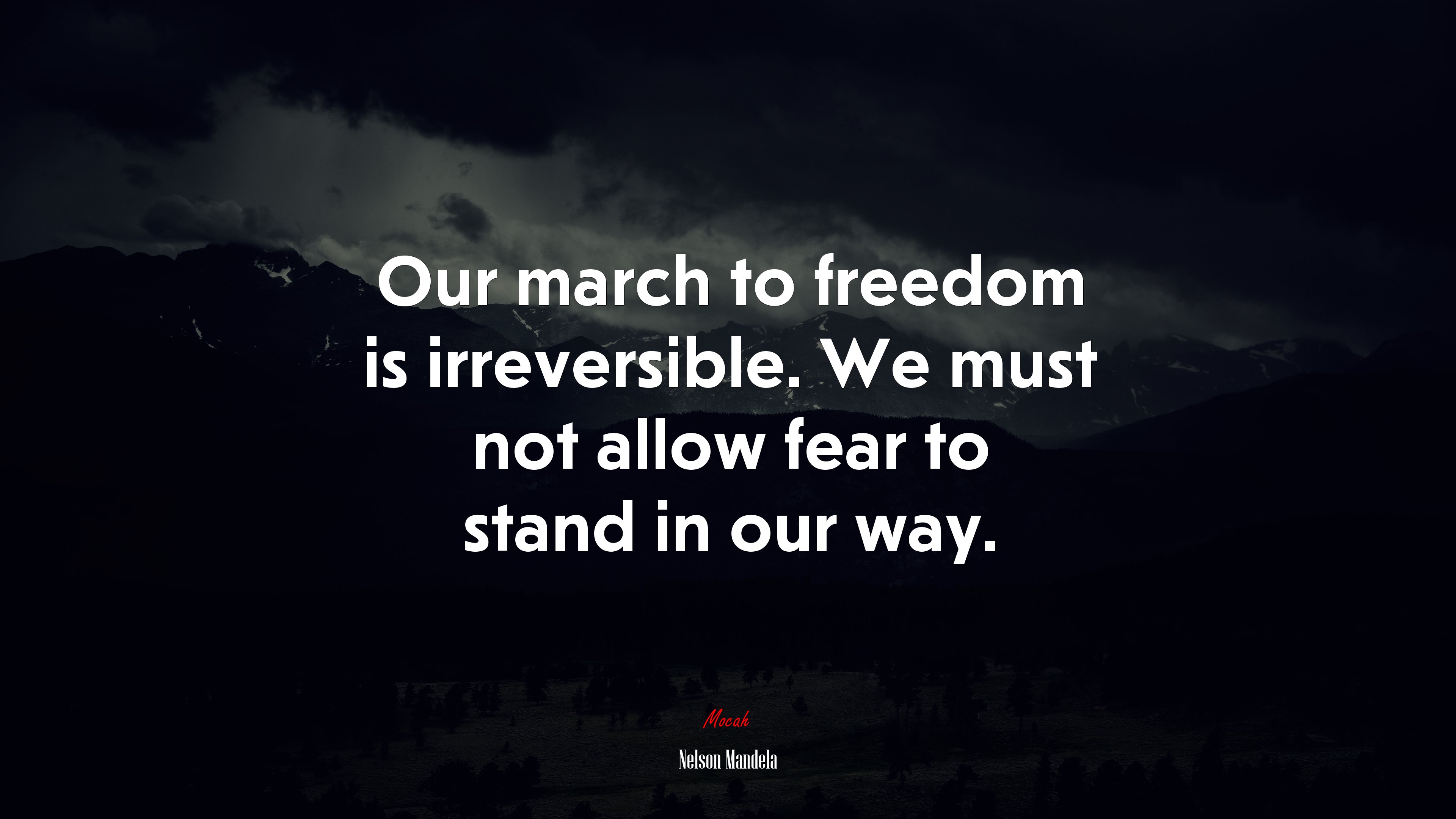 Our march to freedom is irreversible. We must not allow fear to stand in our way. | Nelson Mandela quote HD Wallpaper