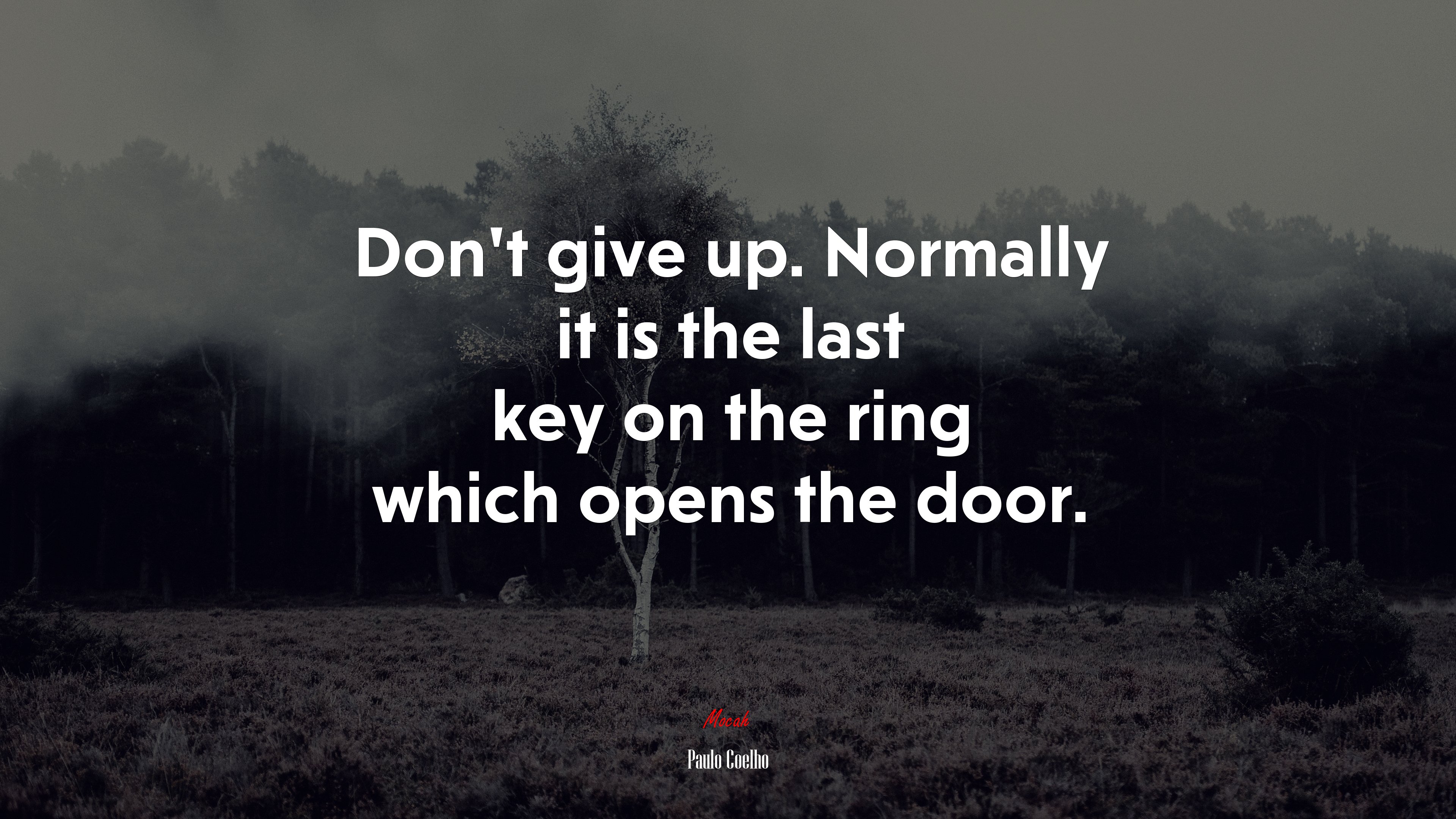 Don’t give up. Normally it is the last key on the ring which opens the door. | Paulo Coelho quote HD Wallpaper