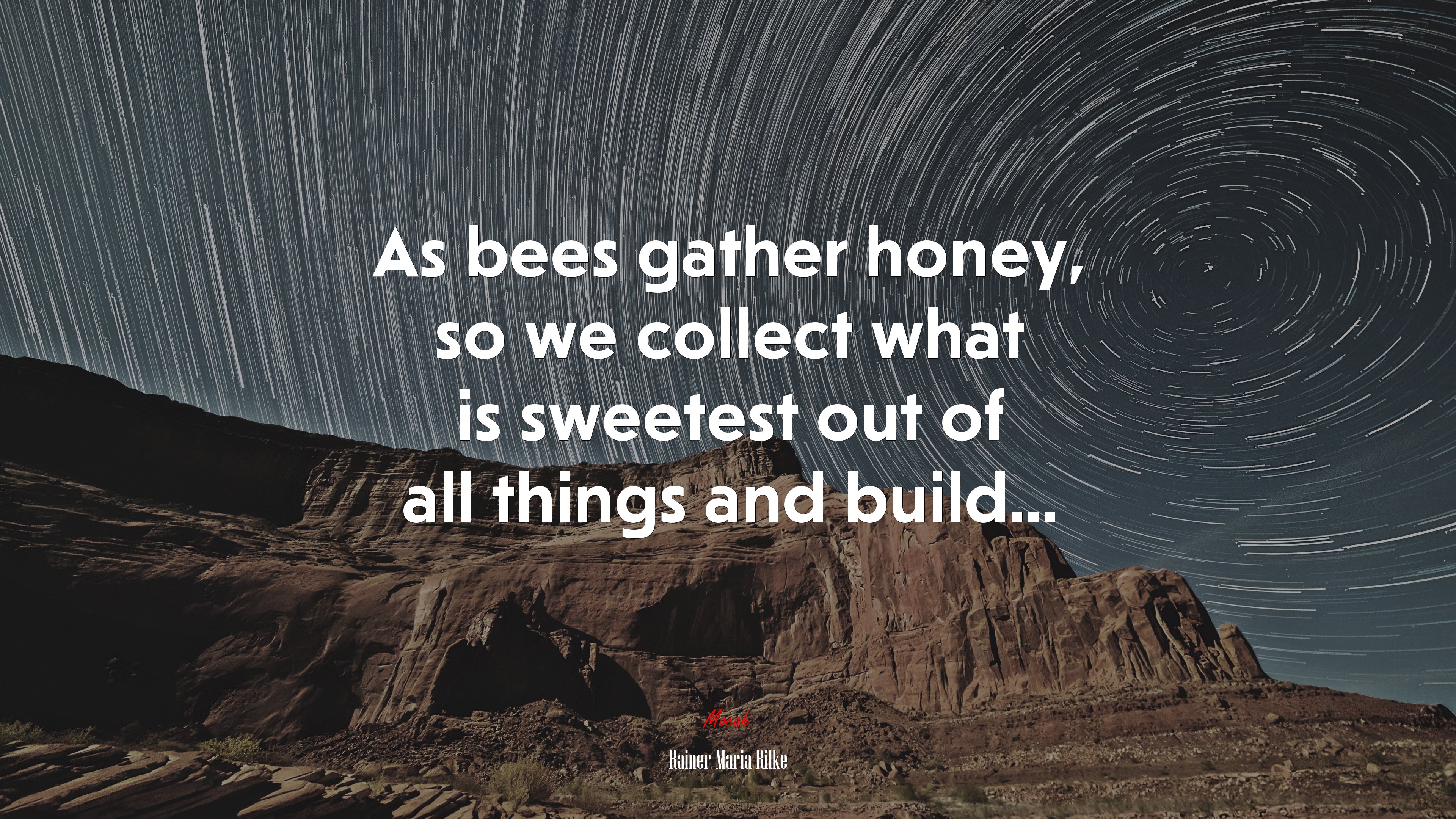 As bees gather honey, so we collect what is sweetest out of all things and build... | Rainer Maria Rilke quote HD Wallpaper