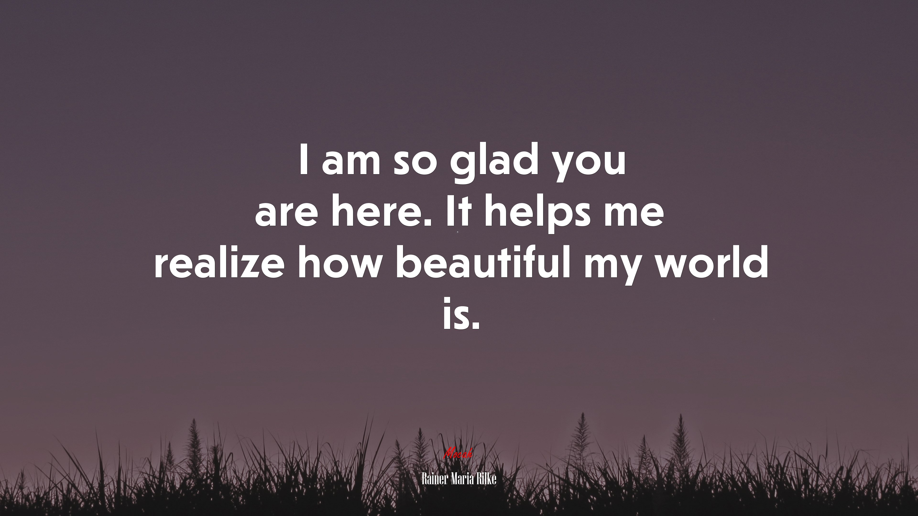 I am so glad you are here. It helps me realize how beautiful my world is. | Rainer Maria Rilke quote HD Wallpaper