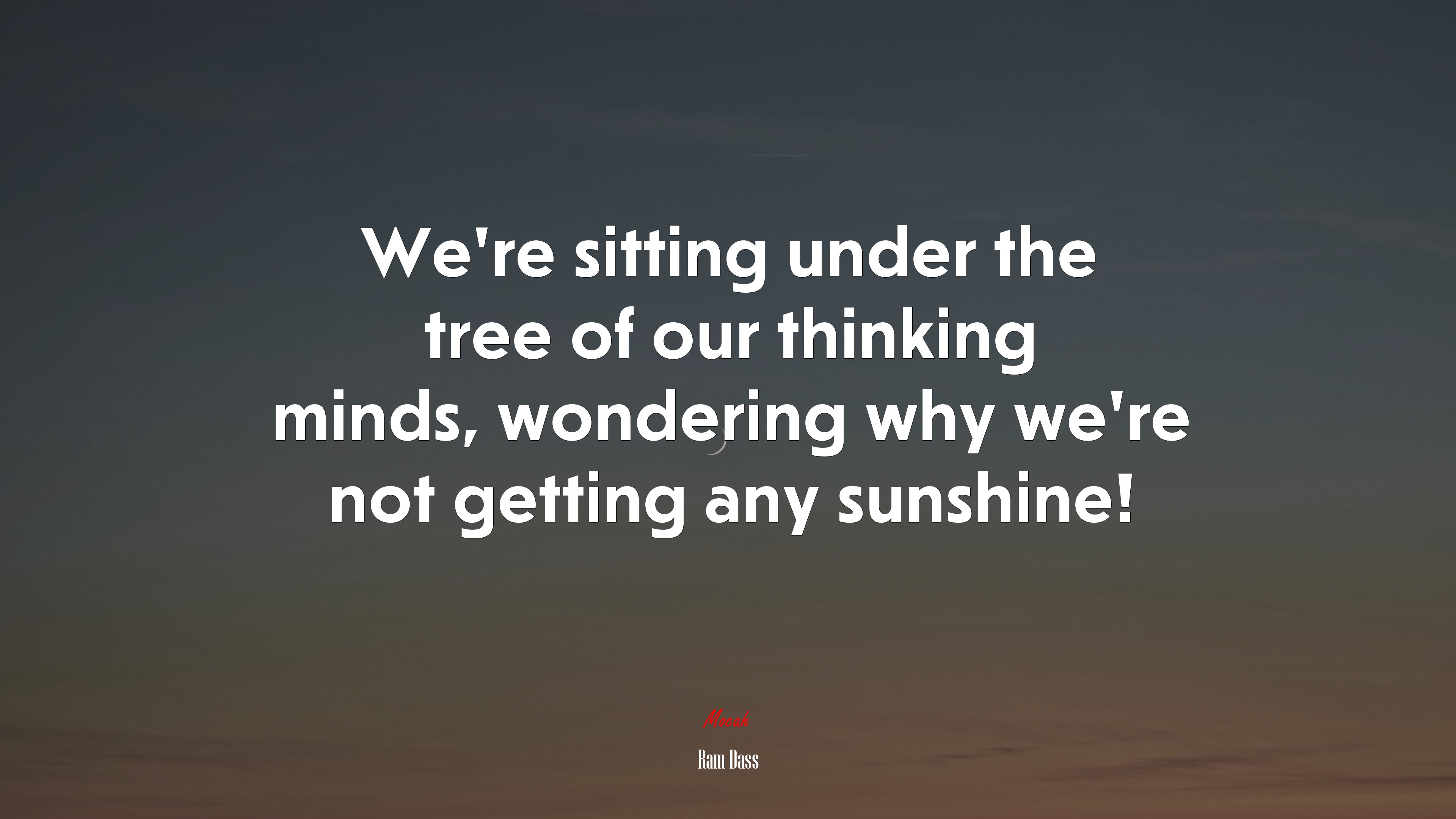 We’re sitting under the tree of our thinking minds, wondering why we’re not getting any sunshine! | Ram Dass quote HD Wallpaper