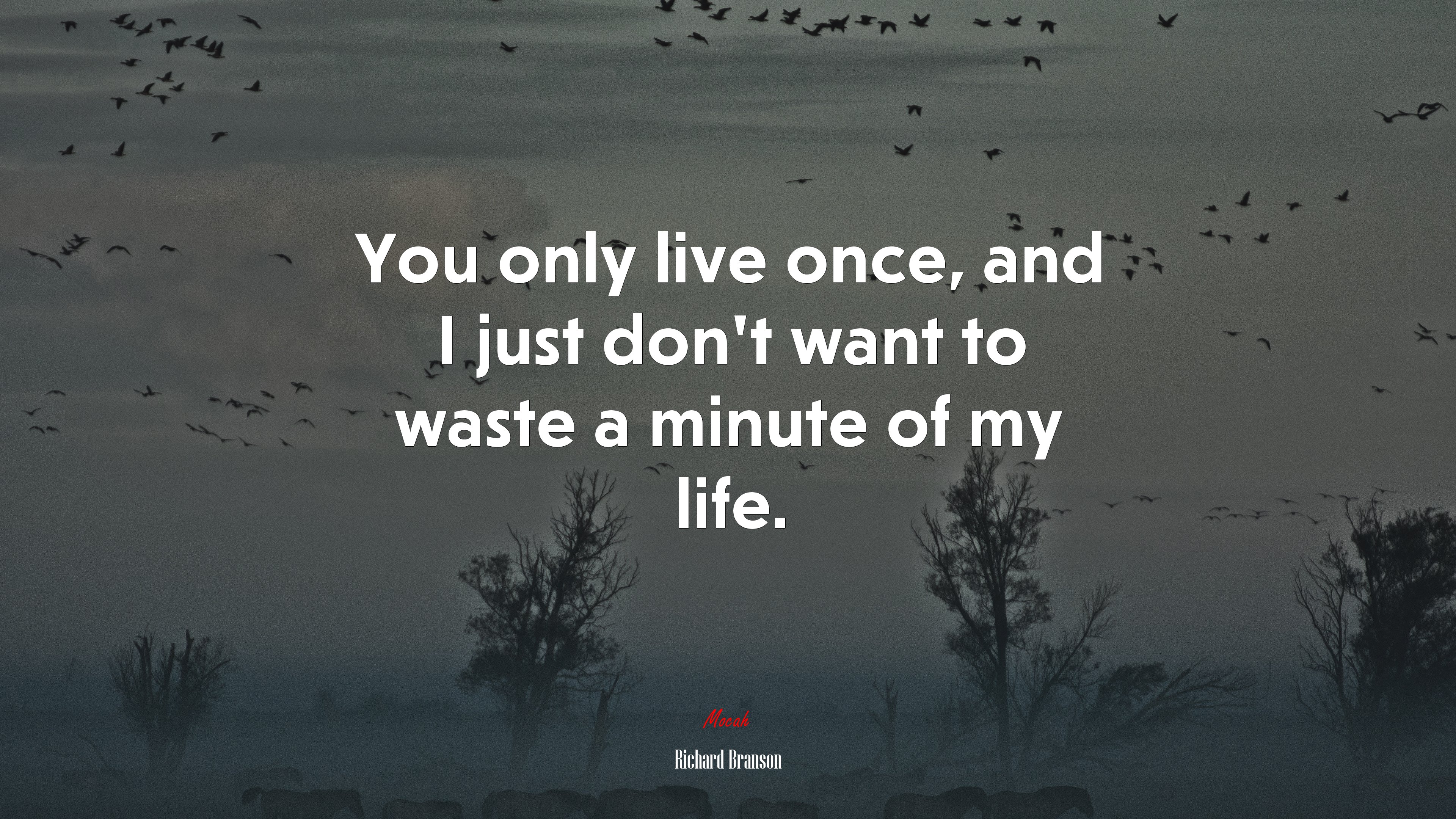 You only live once, and I just don’t want to waste a minute of my life. | Richard Branson quote HD Wallpaper