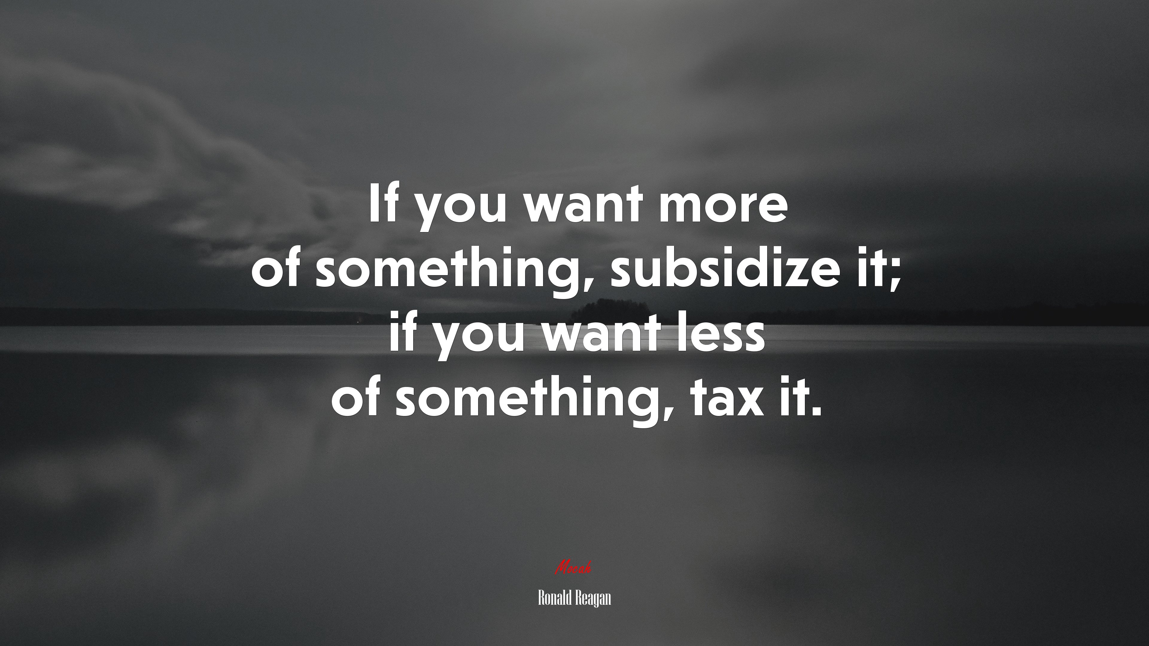 If you want more of something, subsidize it; if you want less of something, tax it. | Ronald Reagan quote HD Wallpaper