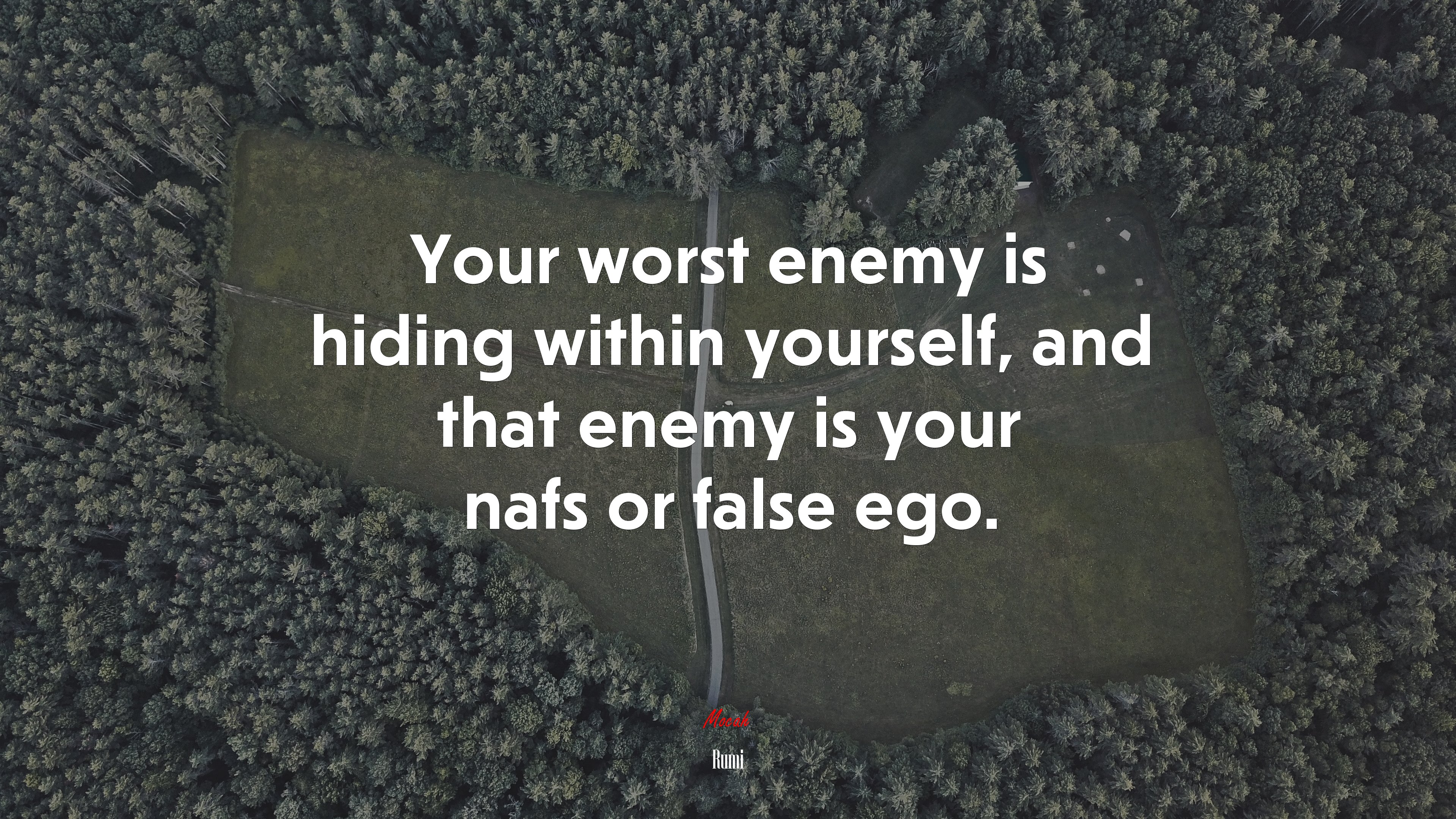 Your worst enemy is hiding within yourself, and that enemy is your nafs or false ego. | Rumi quote HD Wallpaper