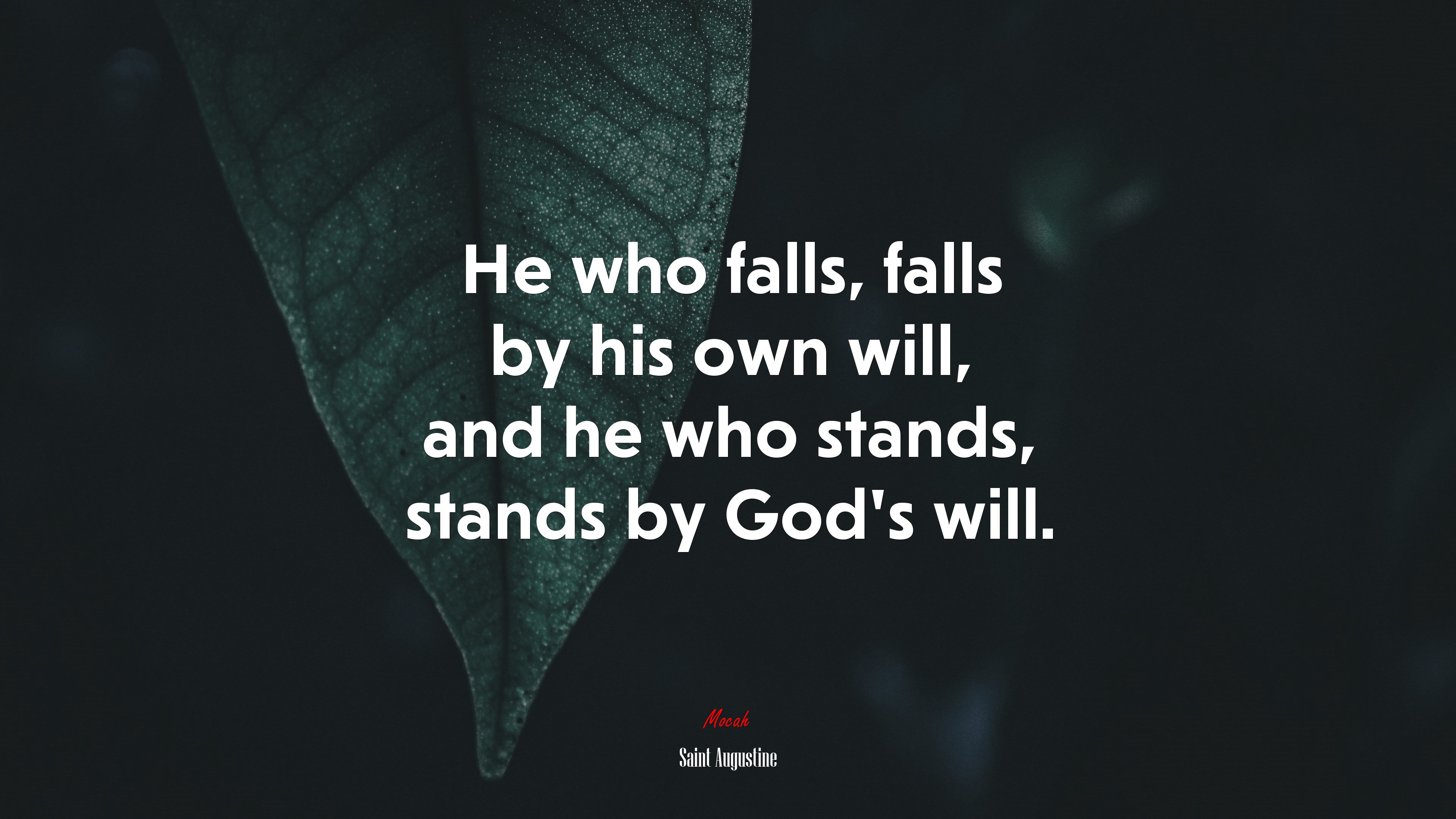 He who falls, falls by his own will, and he who stands, stands by God’s will. | Saint Augustine quote HD Wallpaper