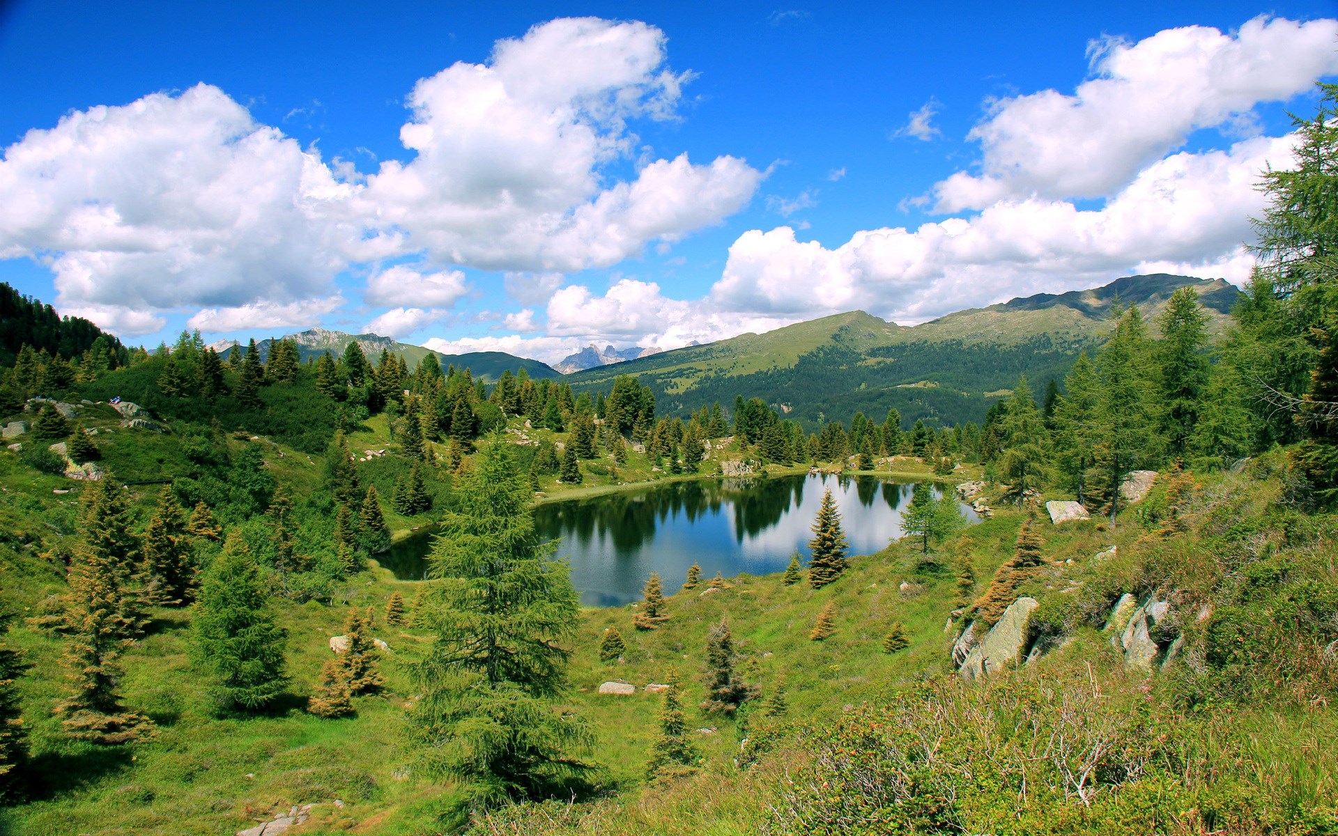 Mountain lake surrounded by pine trees and green hills HD Wallpaper