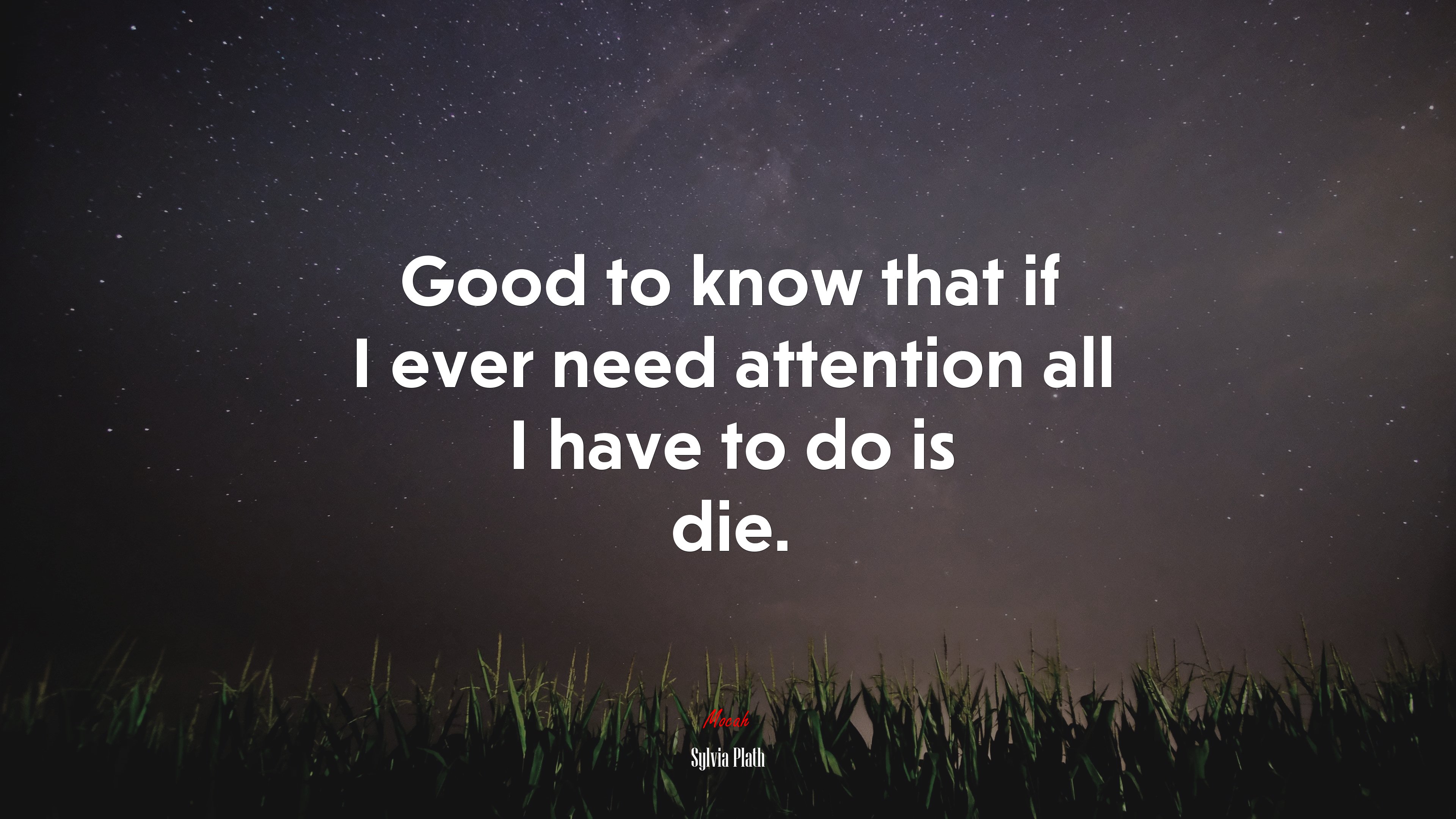 Good to know that if I ever need attention all I have to do is die. | Sylvia Plath quote HD Wallpaper