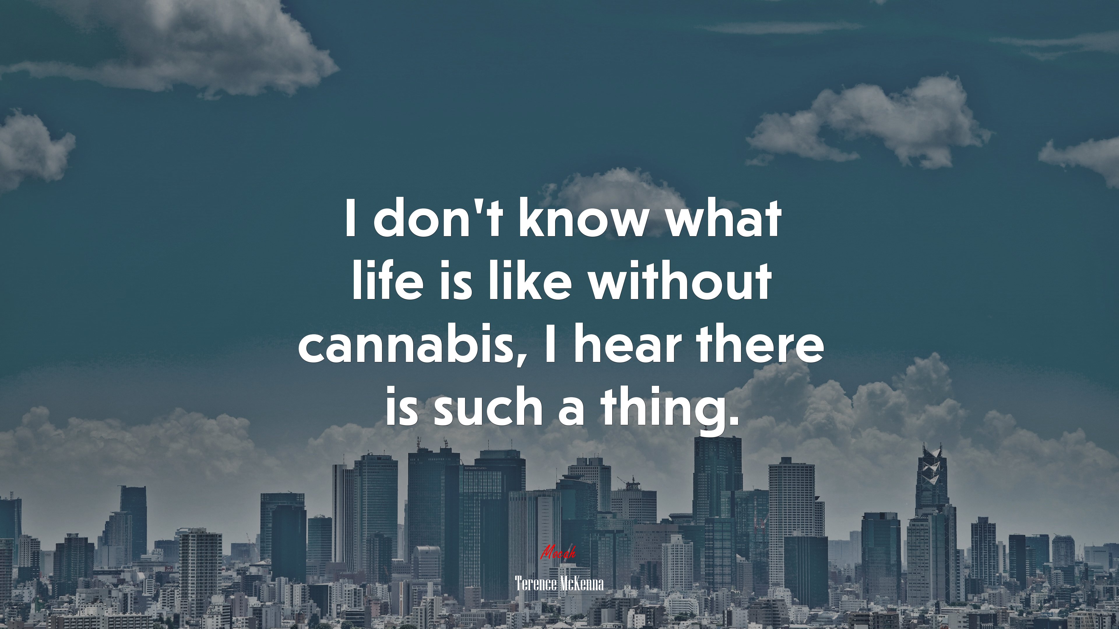 I don’t know what life is like without cannabis, I hear there is such a thing. | Terence McKenna quote HD Wallpaper
