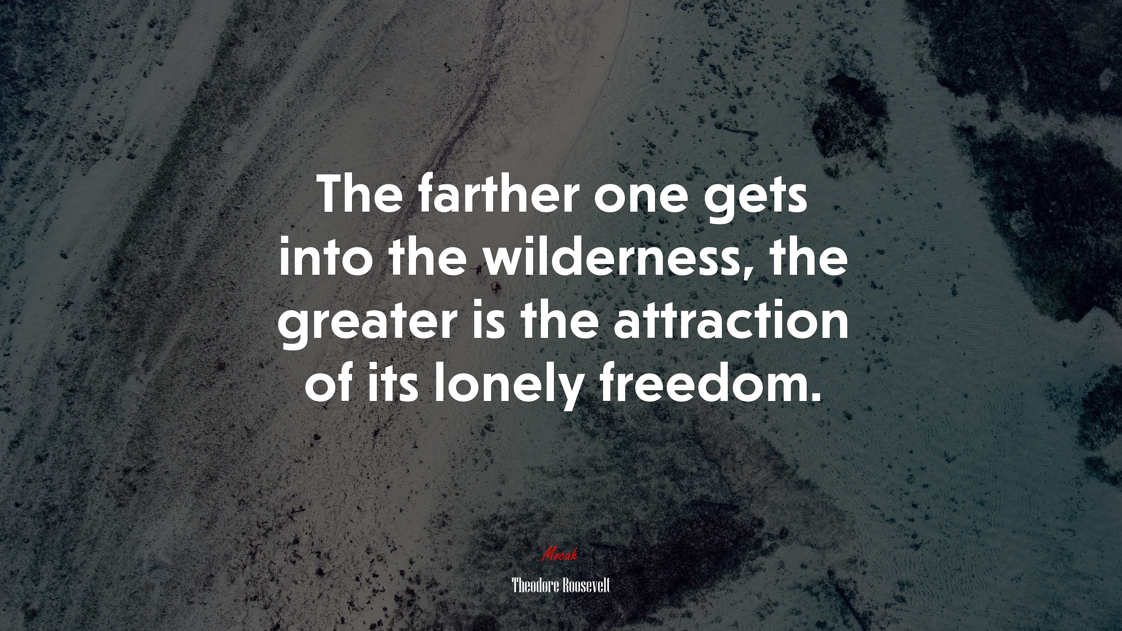 The farther one gets into the wilderness, the greater is the attraction of its lonely freedom. | Theodore Roosevelt quote HD Wallpaper