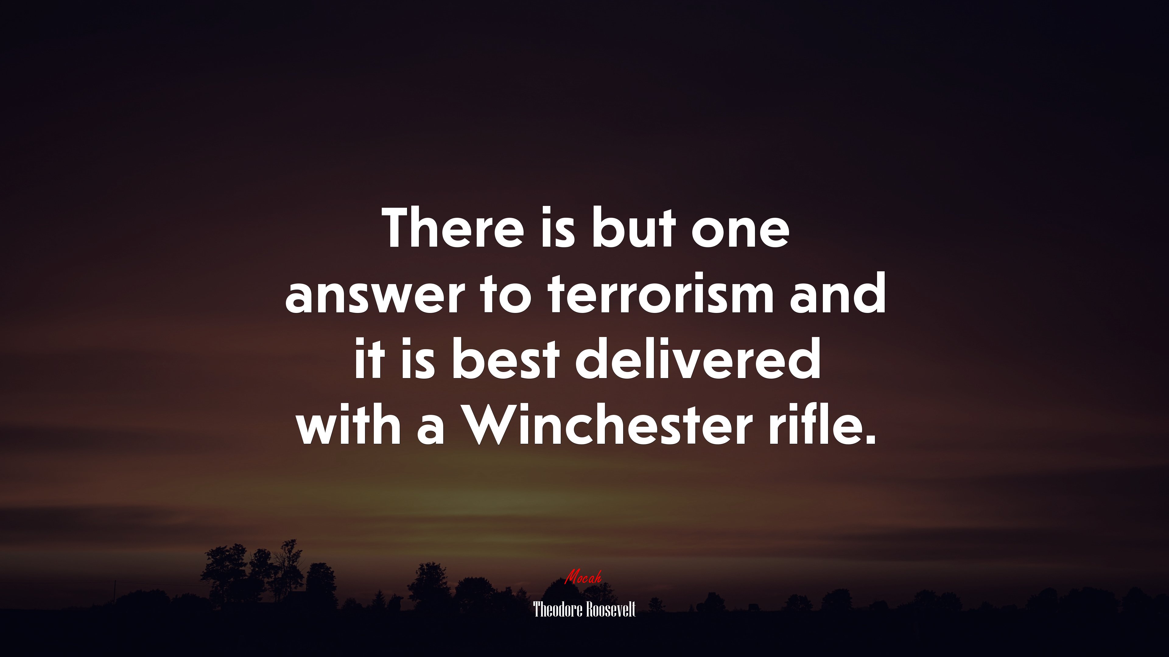 There is but one answer to terrorism and it is best delivered with a Winchester rifle. | Theodore Roosevelt quote HD Wallpaper