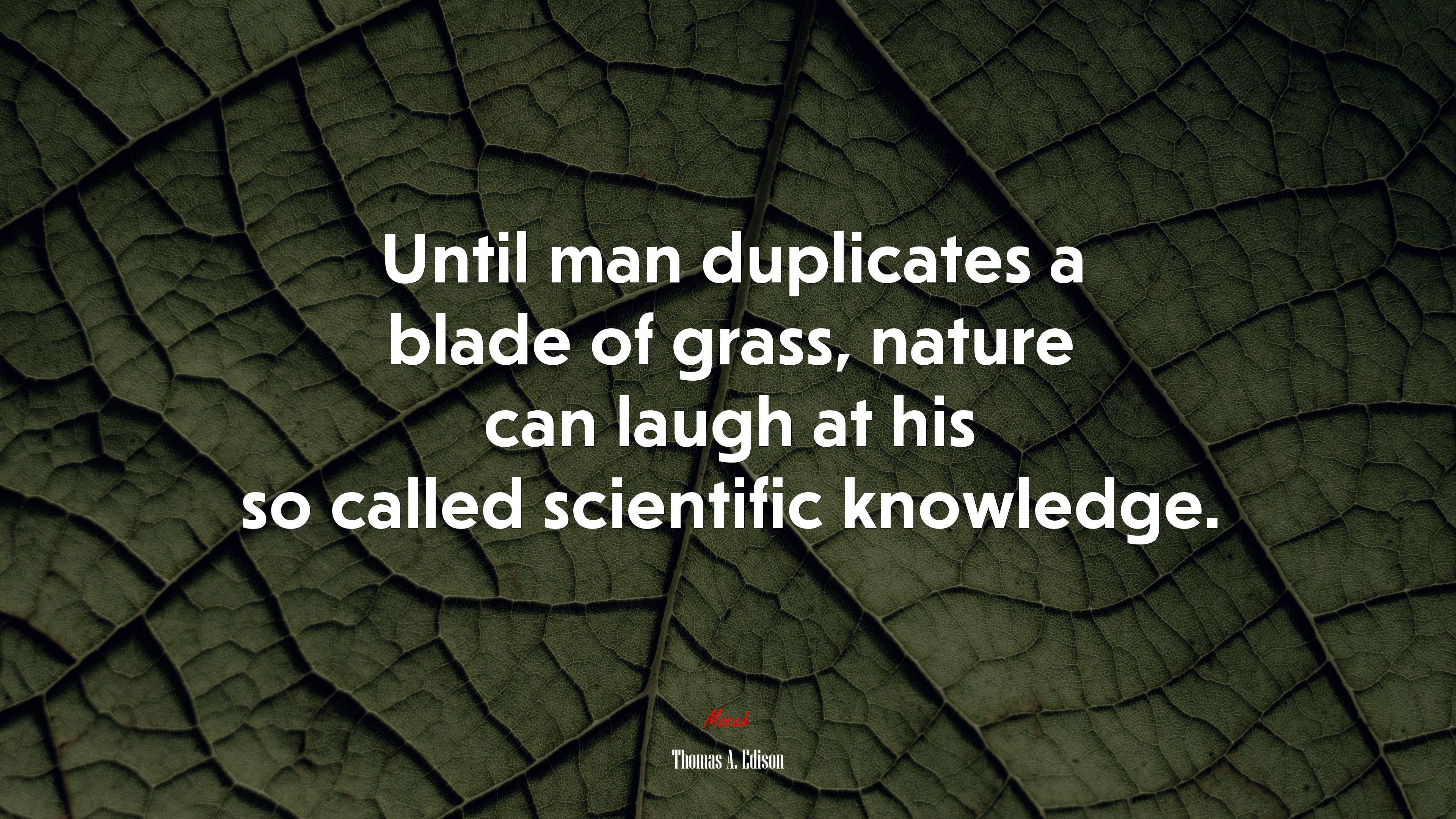 Until man duplicates a blade of grass, nature can laugh at his so called scientific knowledge. | Thomas A. Edison quote HD Wallpaper