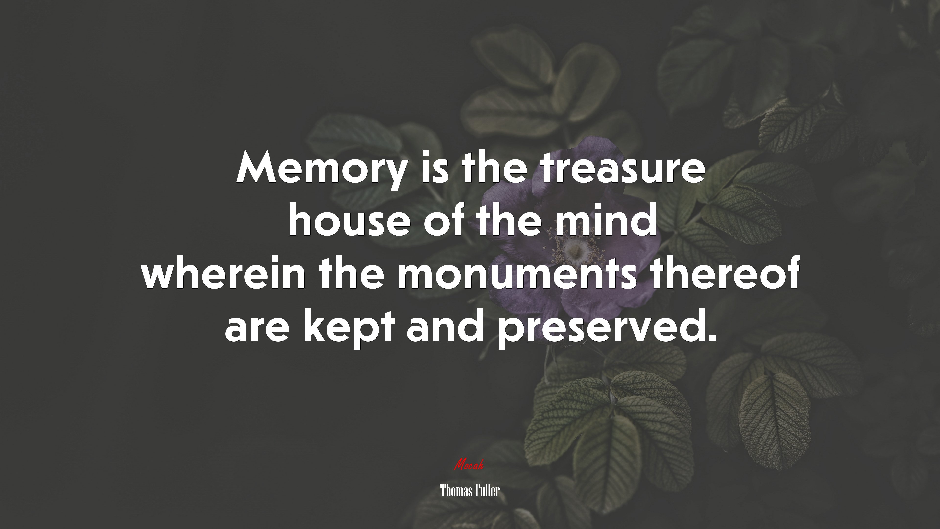 Memory is the treasure house of the mind wherein the monuments thereof are kept and preserved. | Thomas Fuller quote HD Wallpaper