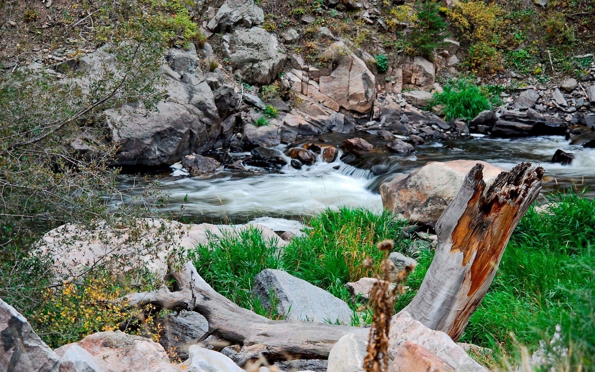 River flowing through rocky terrain with fallen logs HD Wallpaper