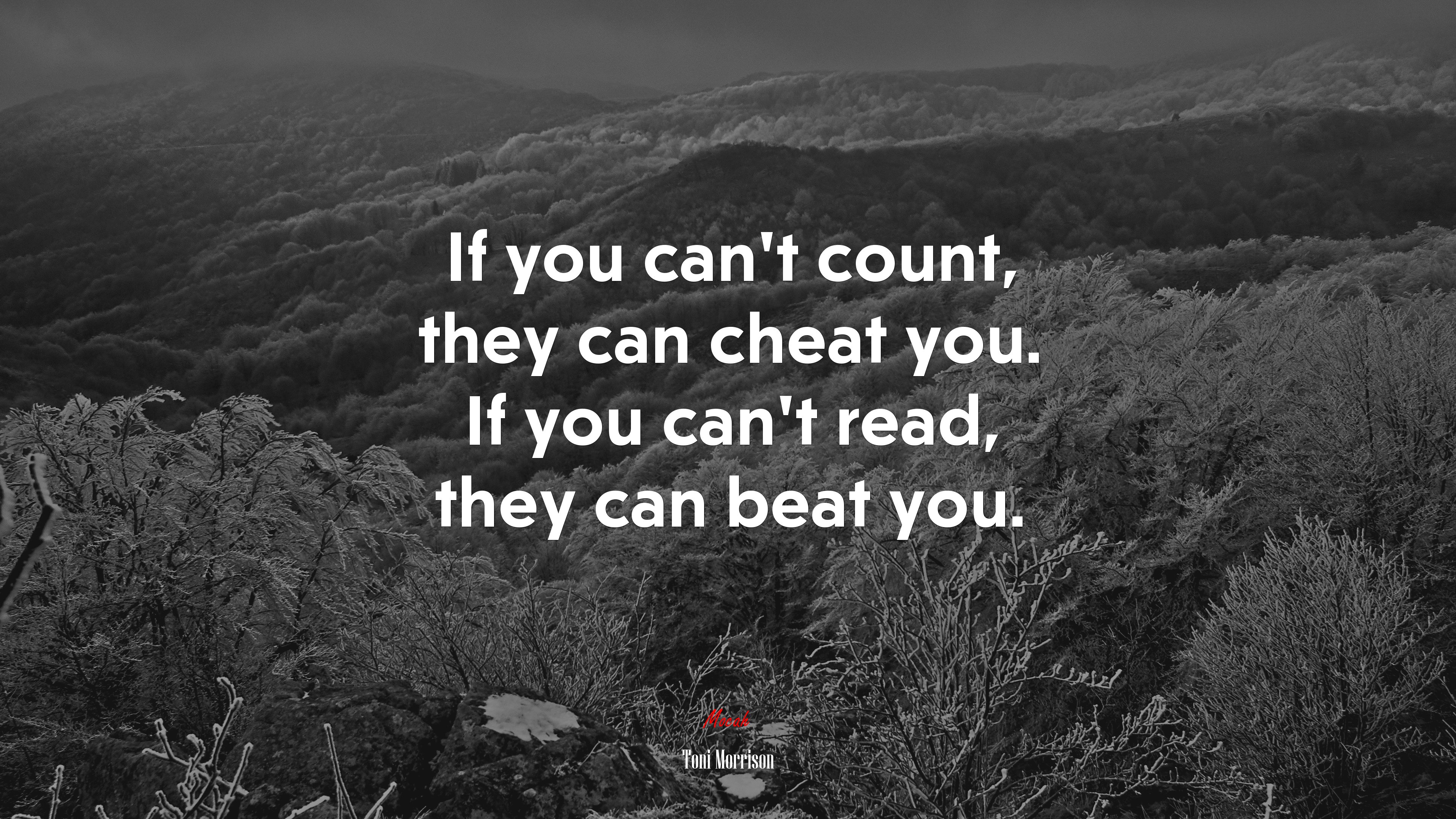 If you can’t count, they can cheat you. If you can’t read, they can beat you. | Toni Morrison quote HD Wallpaper