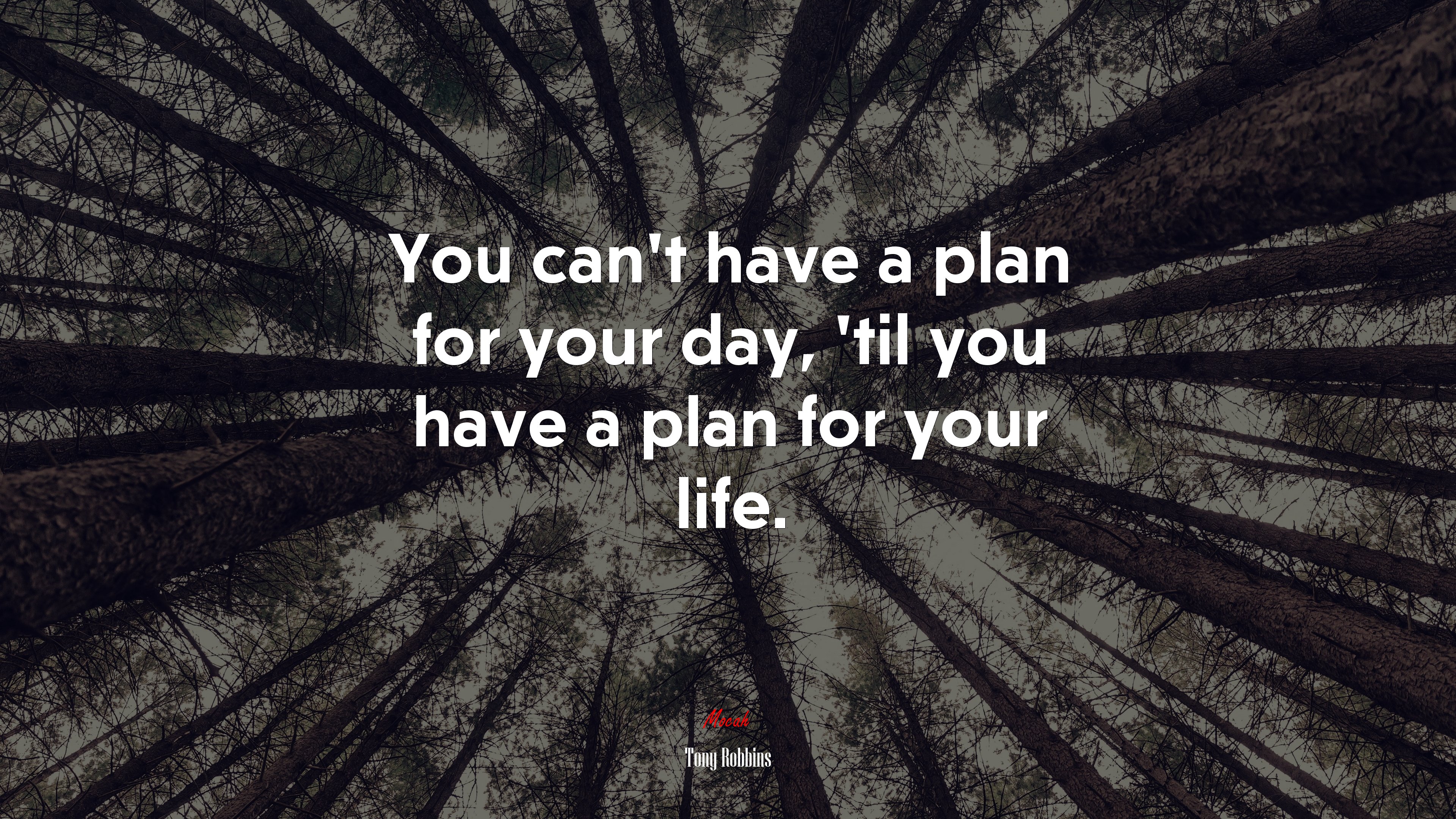 You can’t have a plan for your day, ’til you have a plan for your life. | Tony Robbins quote HD Wallpaper