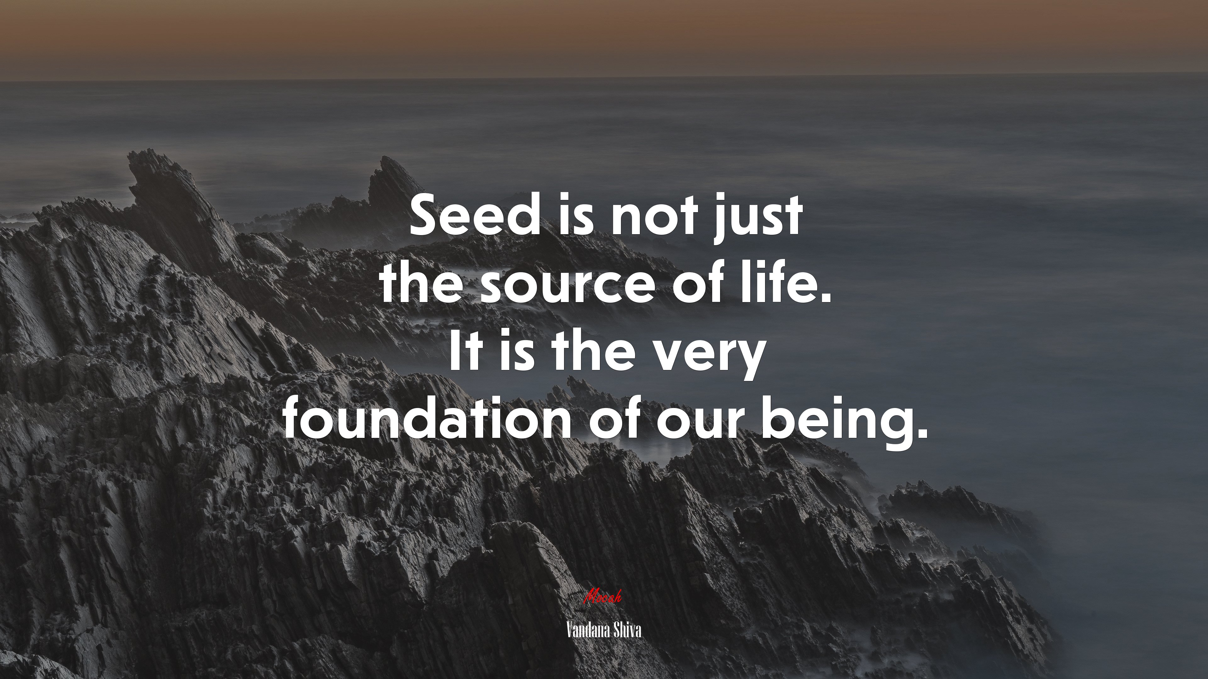 Seed is not just the source of life. It is the very foundation of our being. | Vandana Shiva quote HD Wallpaper