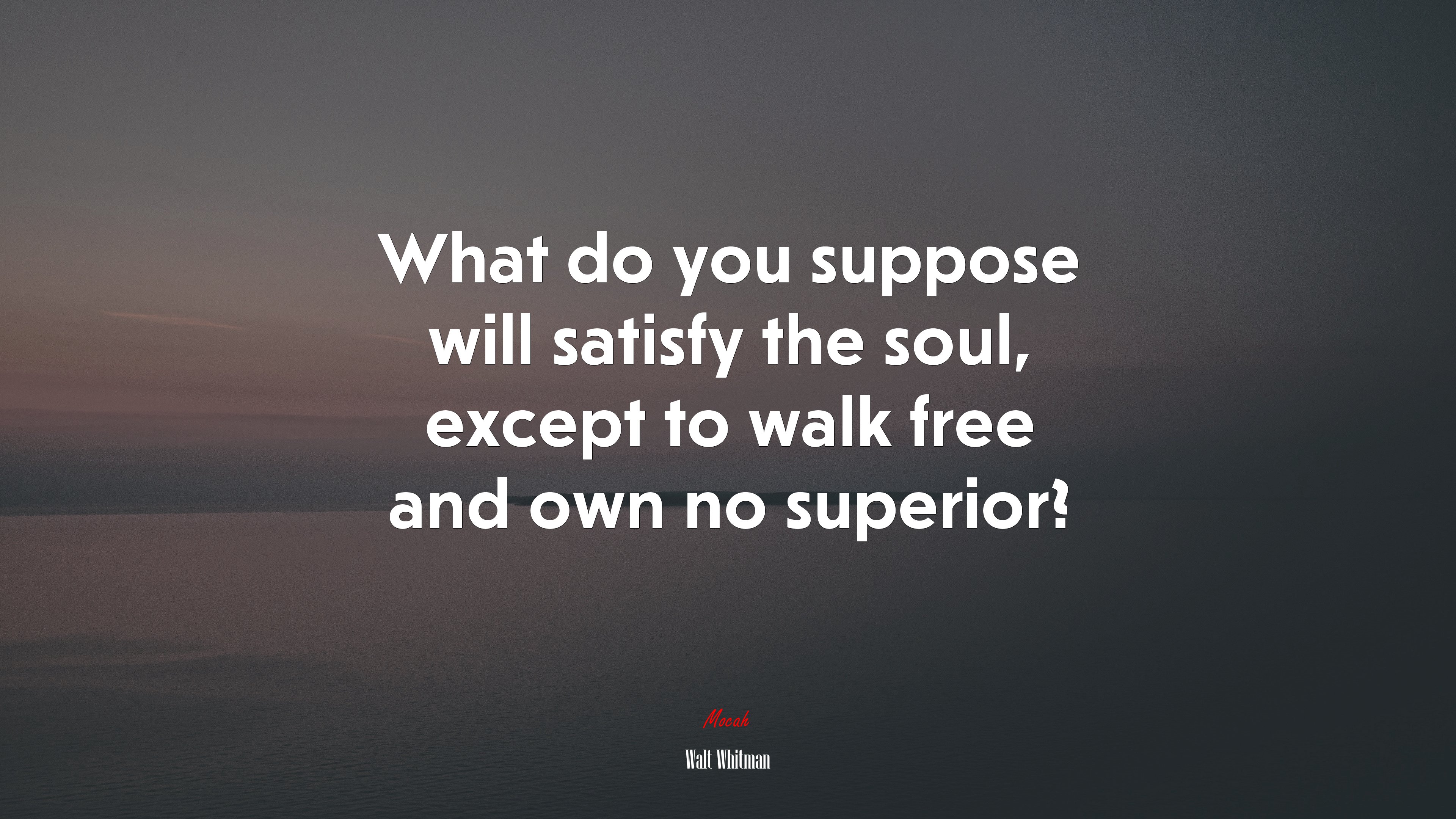 What do you suppose will satisfy the soul, except to walk free and own no superior? | Walt Whitman quote HD Wallpaper