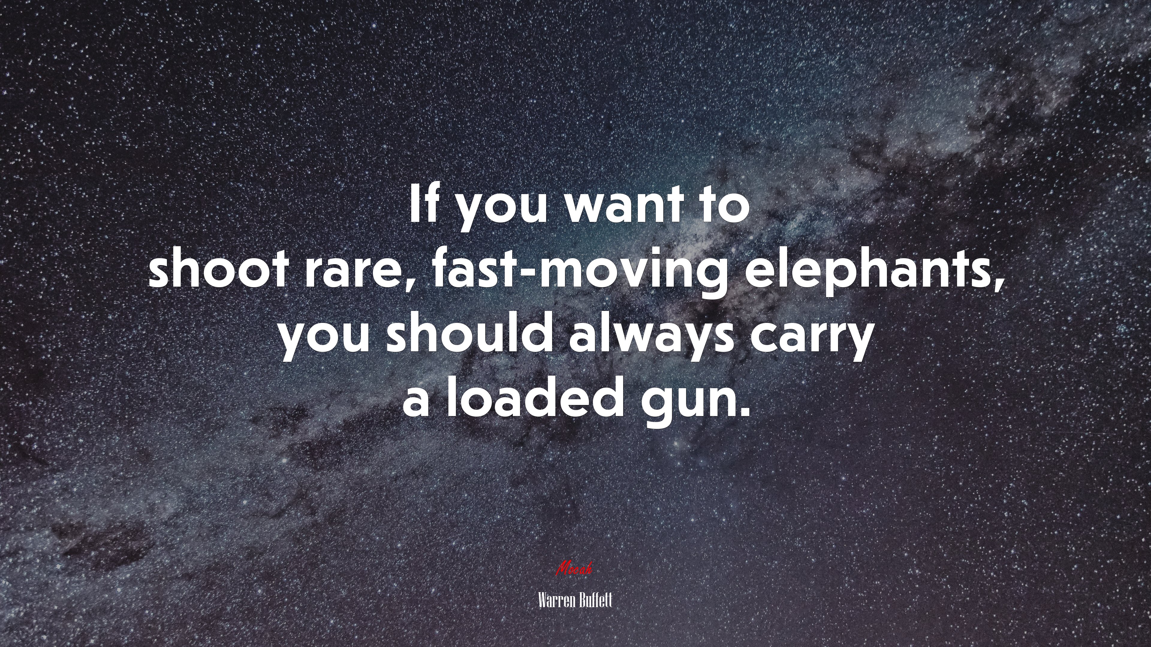 If you want to shoot rare, fast-moving elephants, you should always carry a loaded gun. | Warren Buffett quote HD Wallpaper