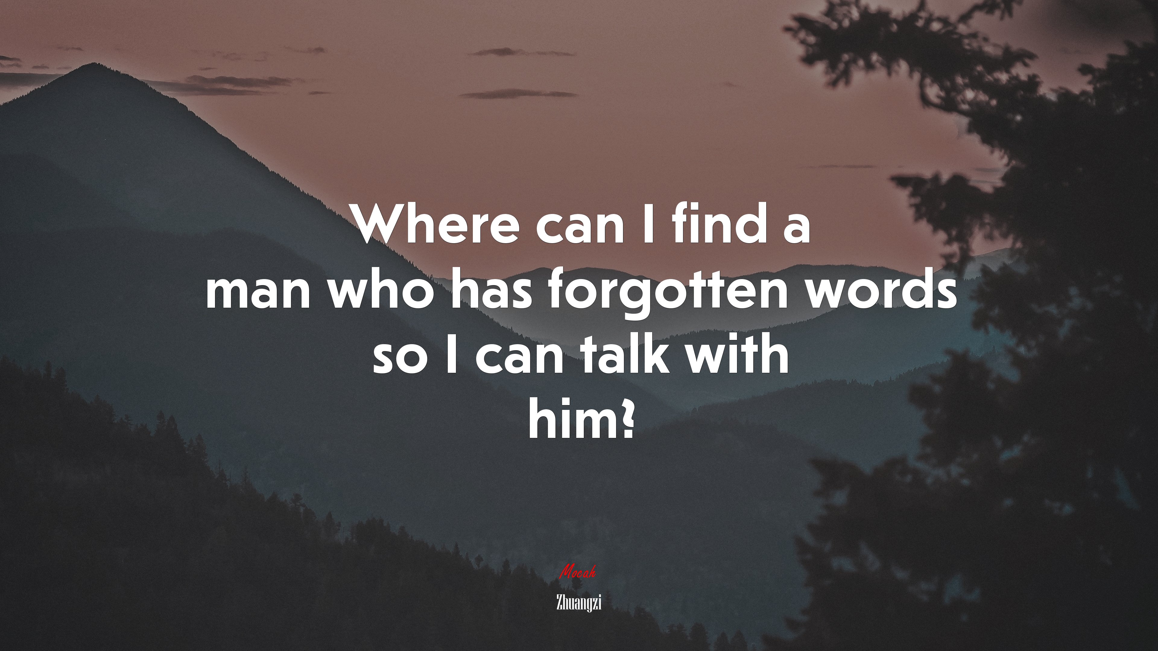 Where can I find a man who has forgotten words so I can talk with him? | Zhuangzi quote HD Wallpaper