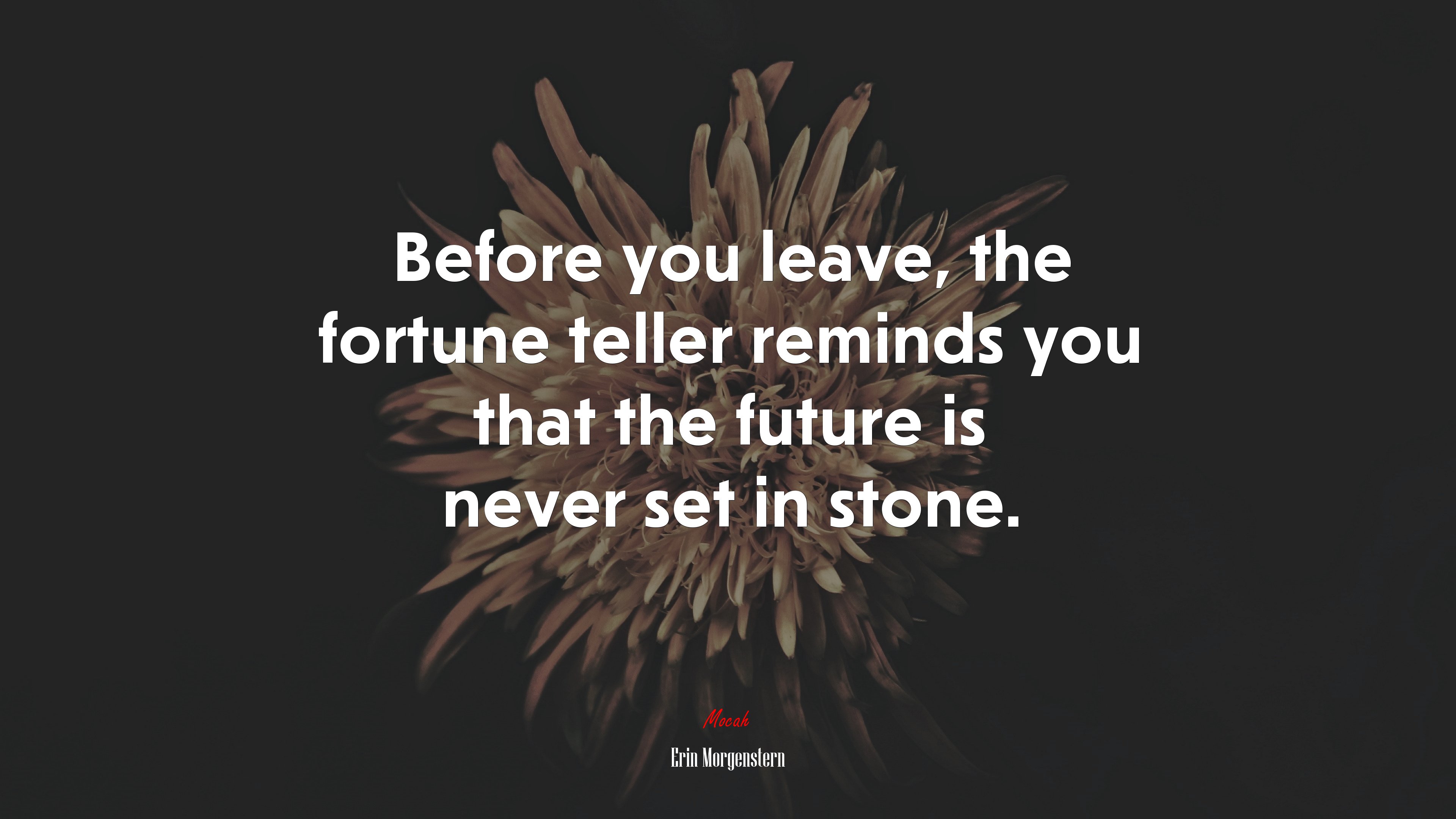 Before you leave, the fortune teller reminds you that the future is never set in stone. | Erin Morgenstern quote HD Wallpaper