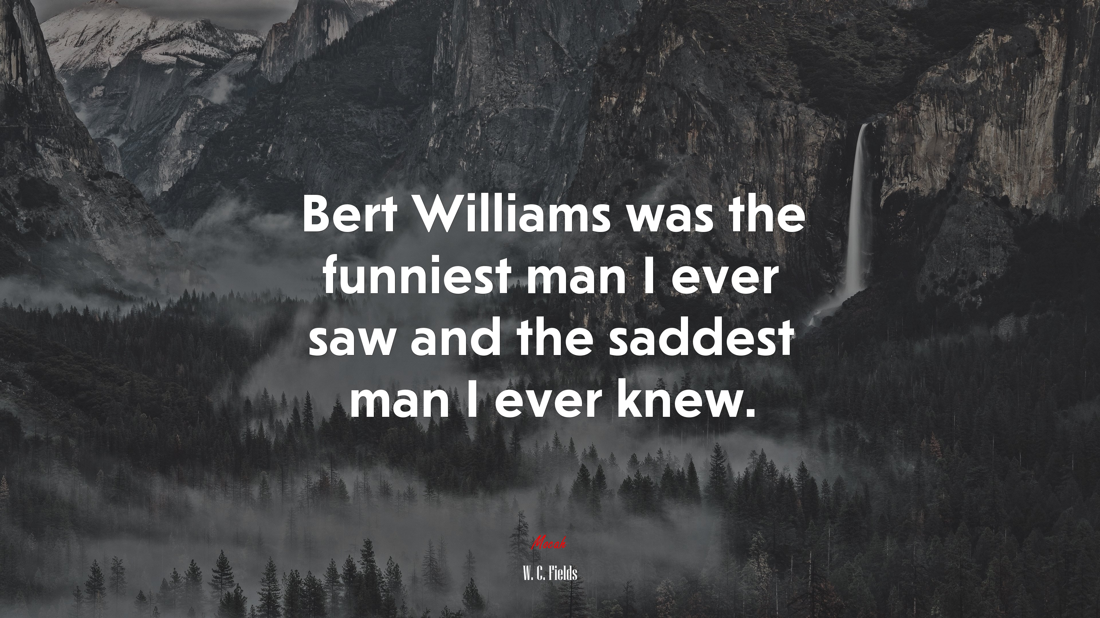 Bert Williams was the funniest man I ever saw and the saddest man I ever knew. | W. C. Fields quote HD Wallpaper