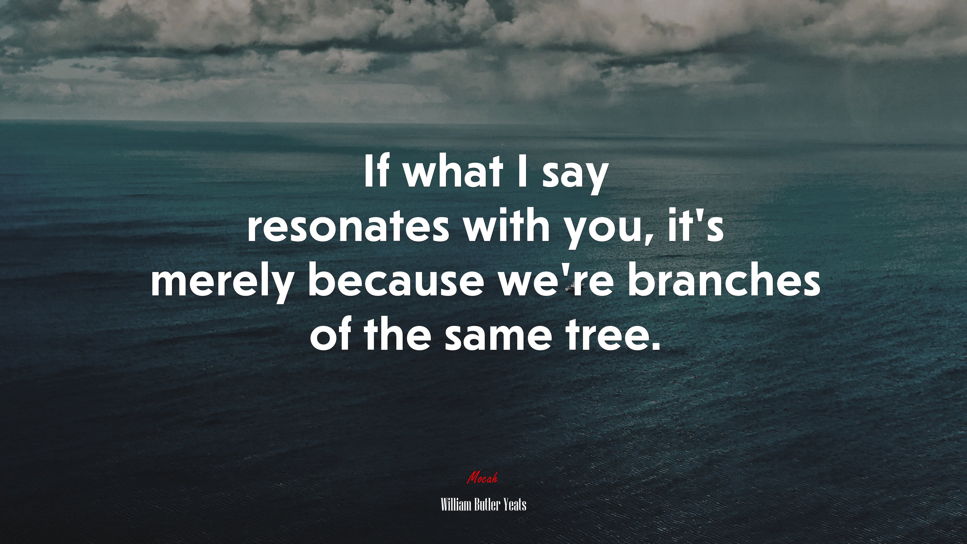 If what I say resonates with you, it’s merely because we’re branches of the same tree. | William Butler Yeats quote HD Wallpaper