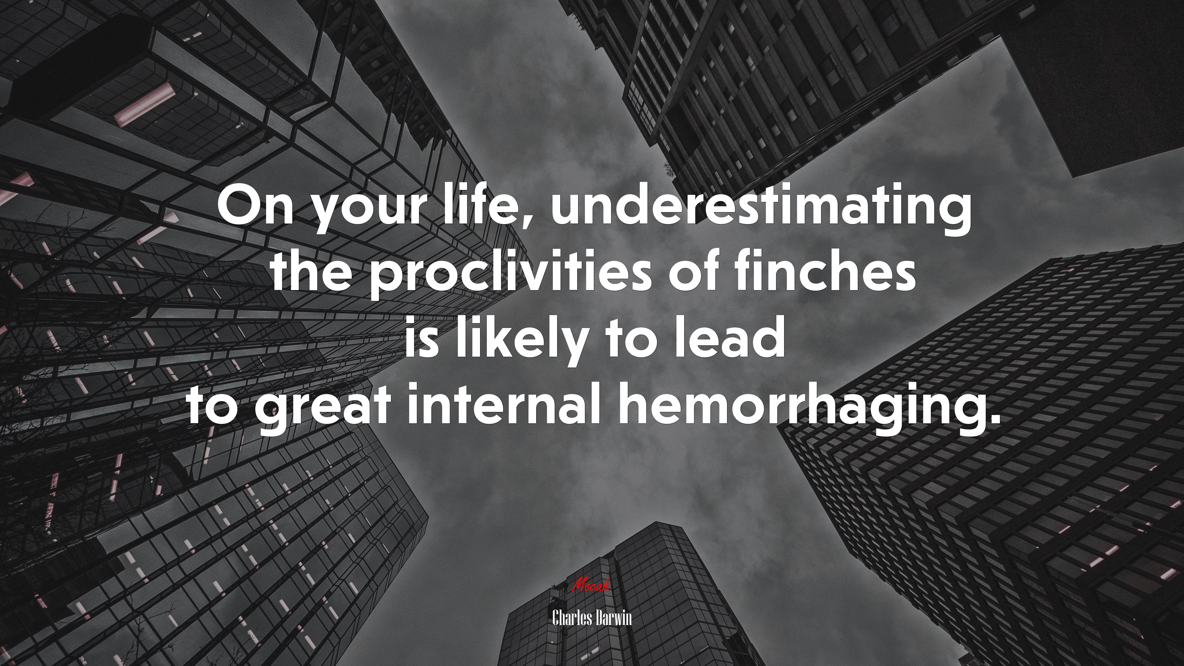 On your life, underestimating the proclivities of finches is likely to lead to great internal hemorrhaging. | Charles Darwin quote HD Wallpaper