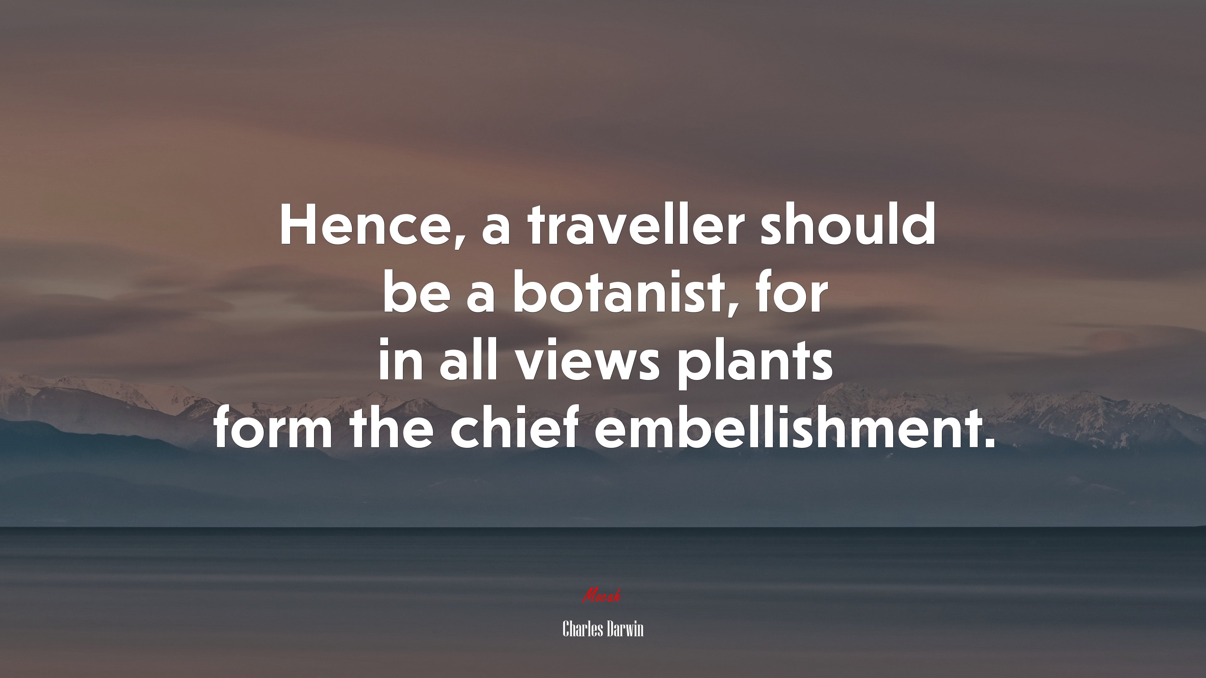 Hence, a traveller should be a botanist, for in all views plants form the chief embellishment. | Charles Darwin quote HD Wallpaper