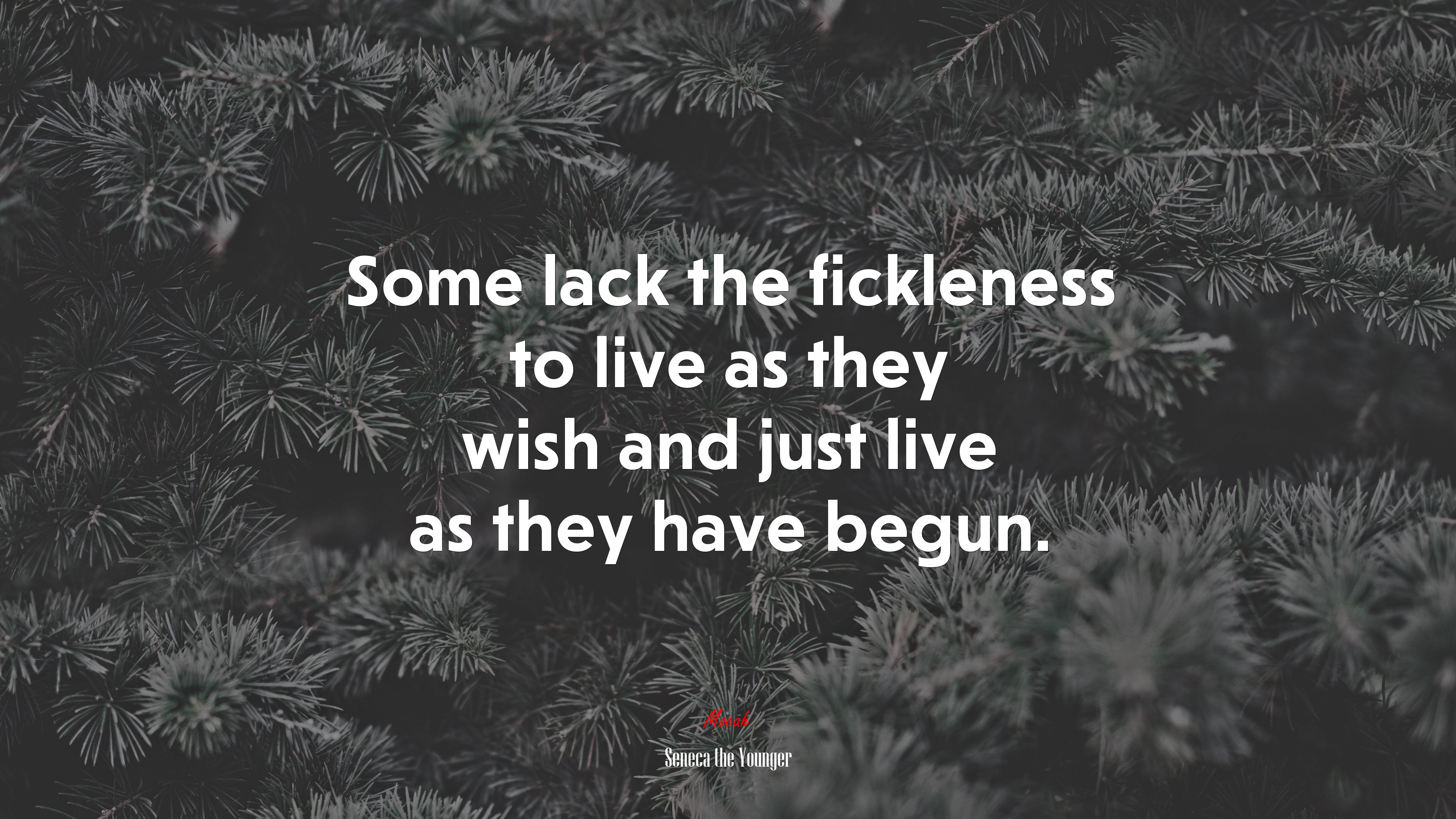 Some lack the fickleness to live as they wish and just live as they have begun. | Seneca the Younger quote HD Wallpaper