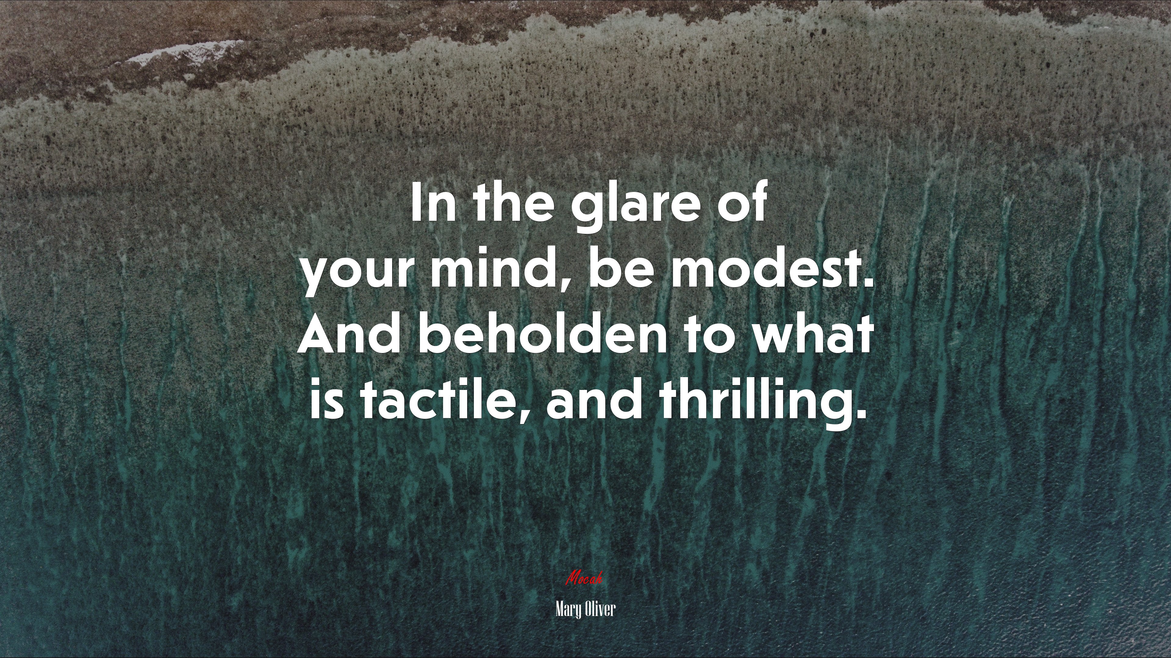 In the glare of your mind, be modest. And beholden to what is tactile, and thrilling. | Mary Oliver quote HD Wallpaper
