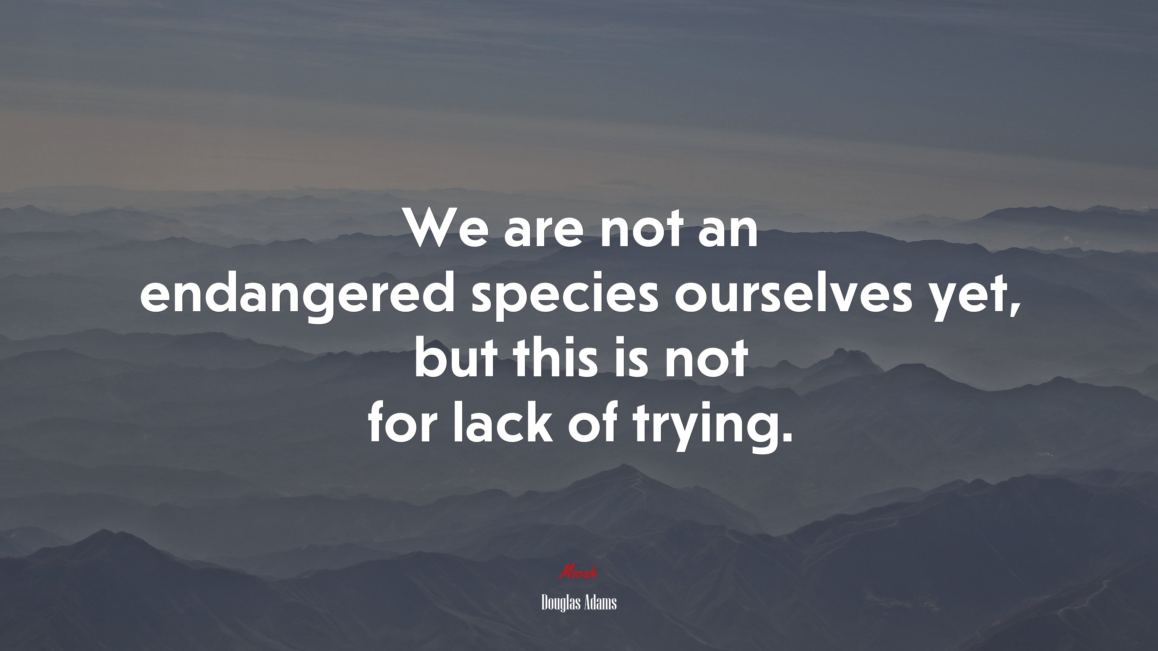 We are not an endangered species ourselves yet, but this is not for lack of trying. | Douglas Adams quote HD Wallpaper