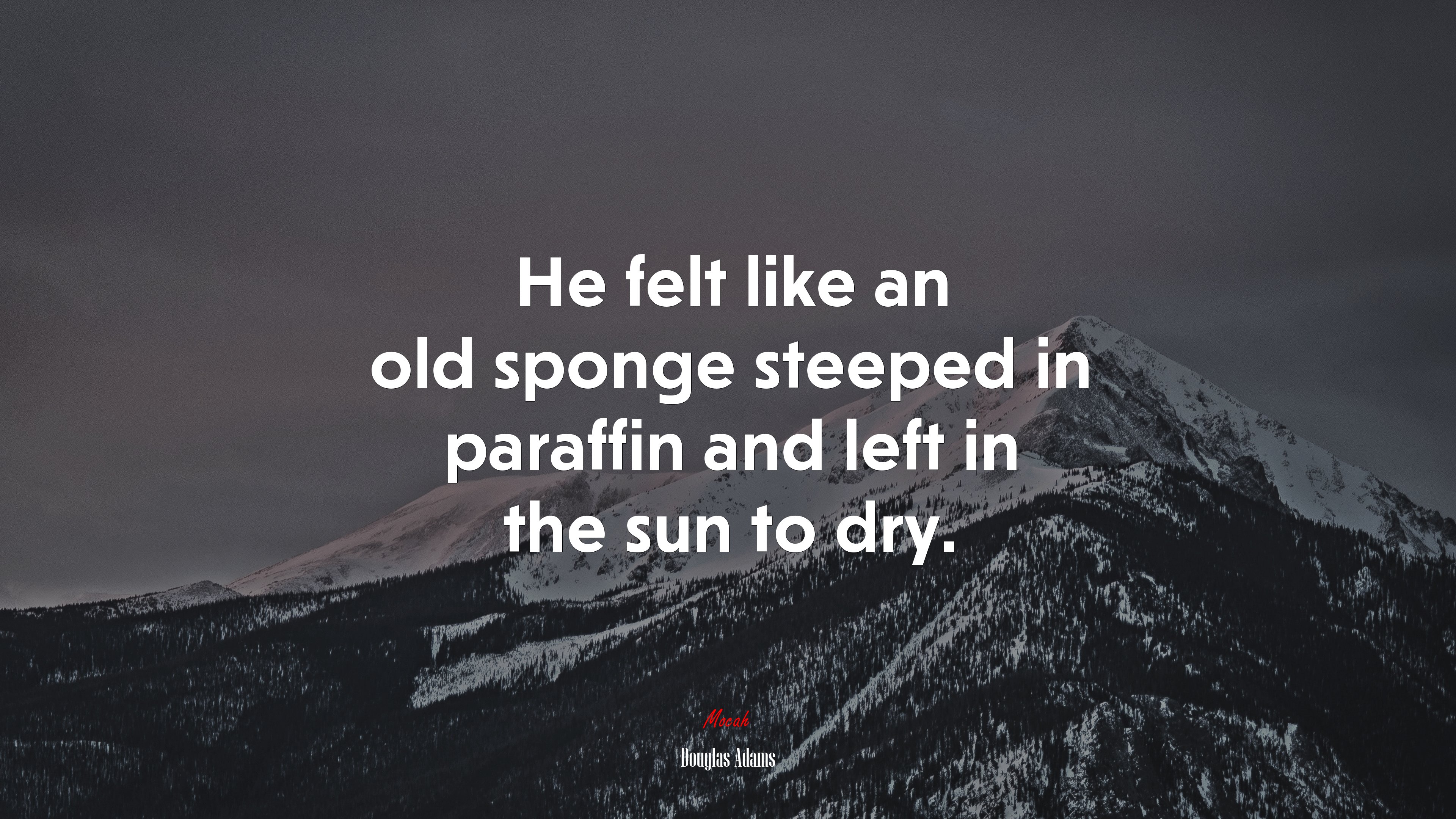 He felt like an old sponge steeped in paraffin and left in the sun to dry. | Douglas Adams quote HD Wallpaper