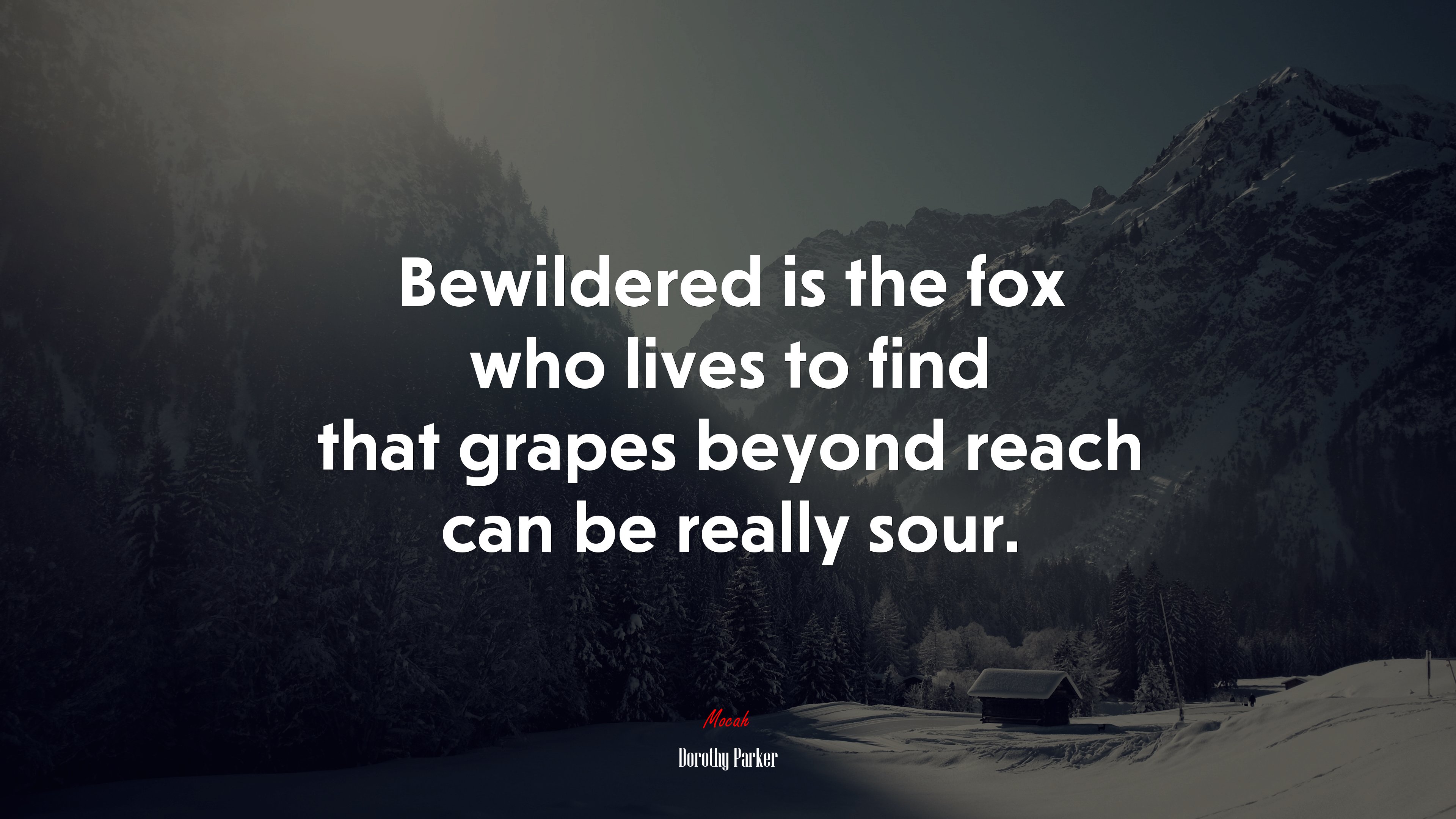 Bewildered is the fox who lives to find that grapes beyond reach can be really sour. | Dorothy Parker quote HD Wallpaper