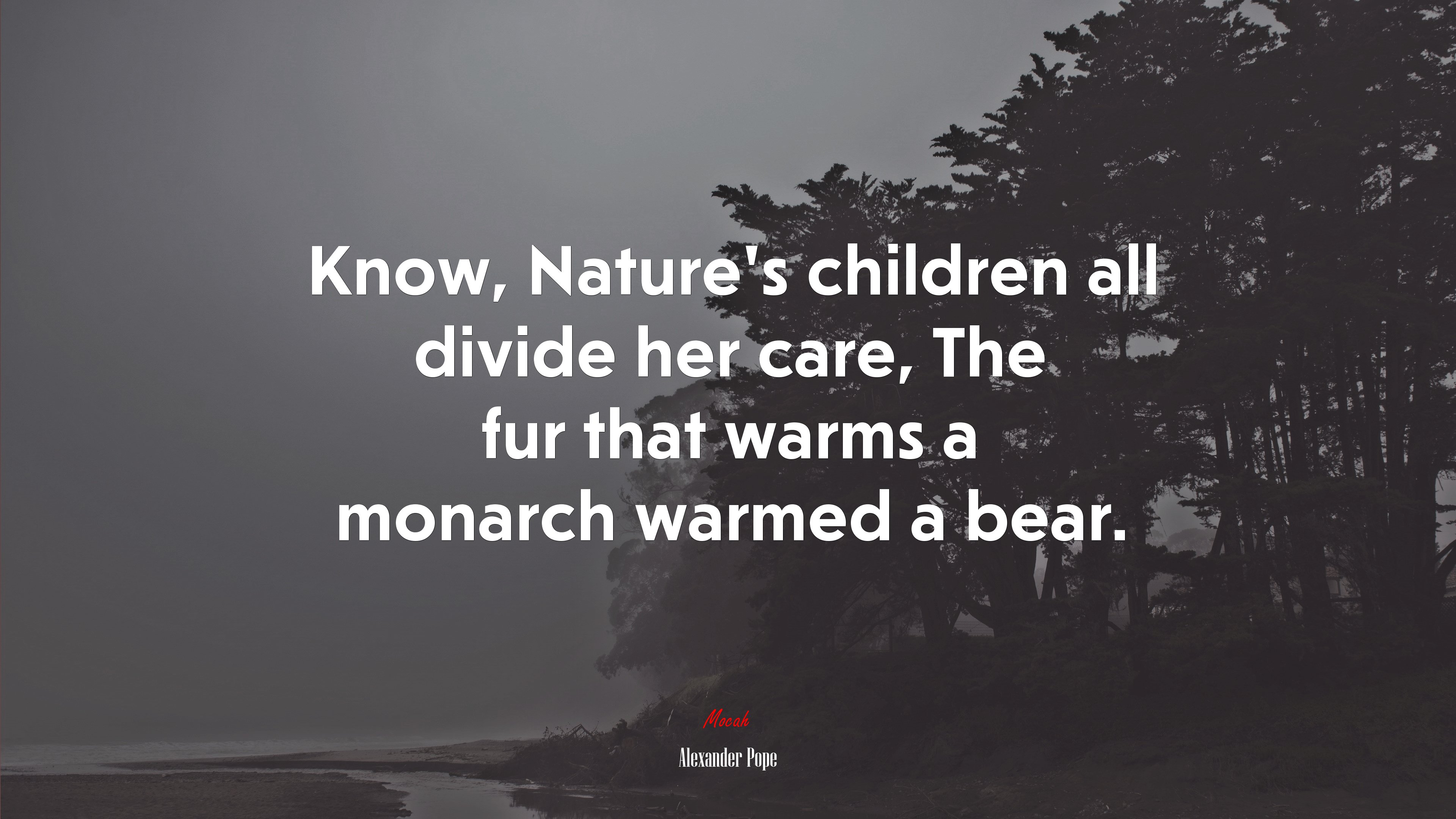 Know, Nature’s children all divide her care, The fur that warms a monarch warmed a bear. | Alexander Pope quote HD Wallpaper