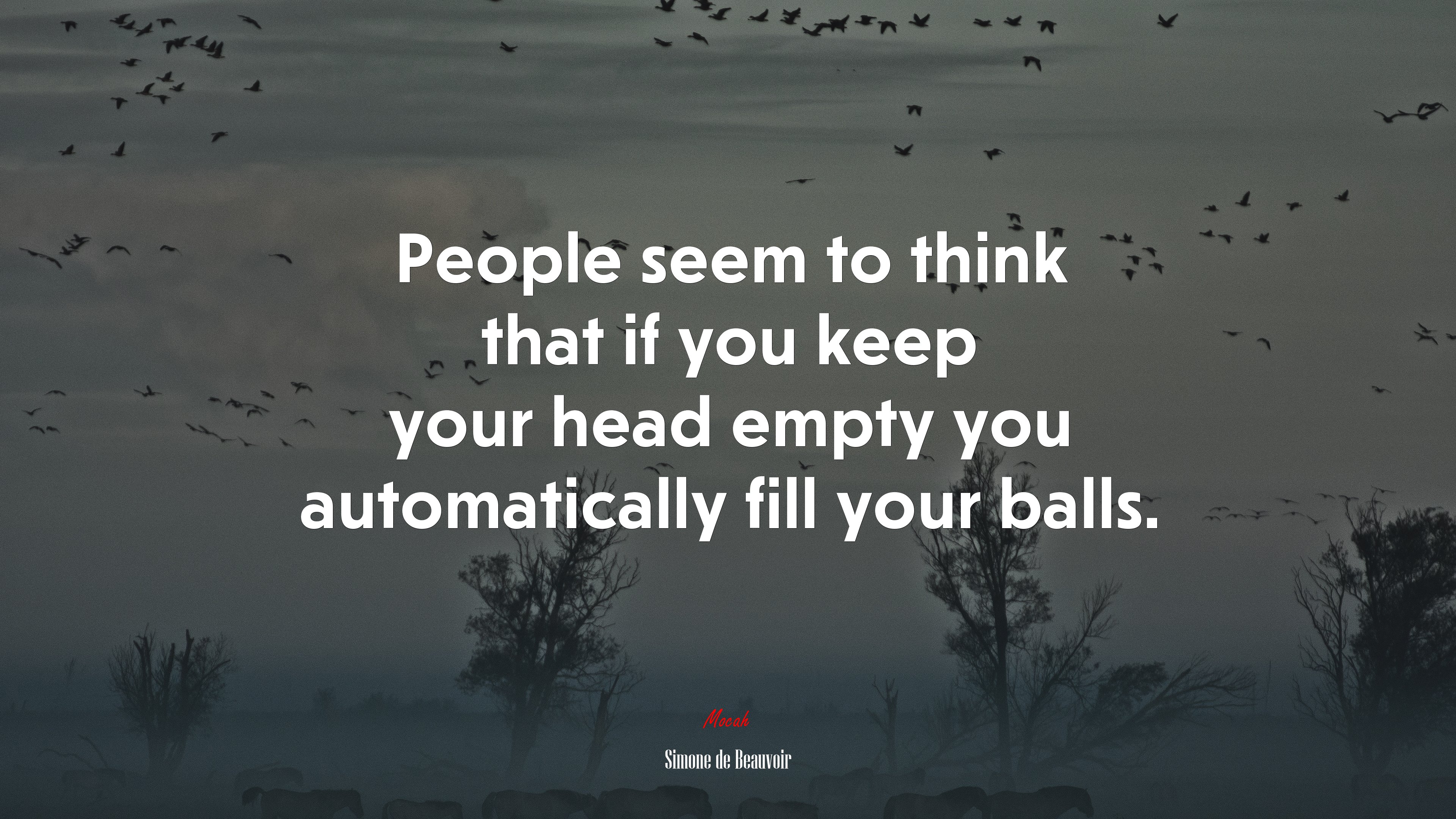 People seem to think that if you keep your head empty you automatically fill your balls. | Simone de Beauvoir quote HD Wallpaper