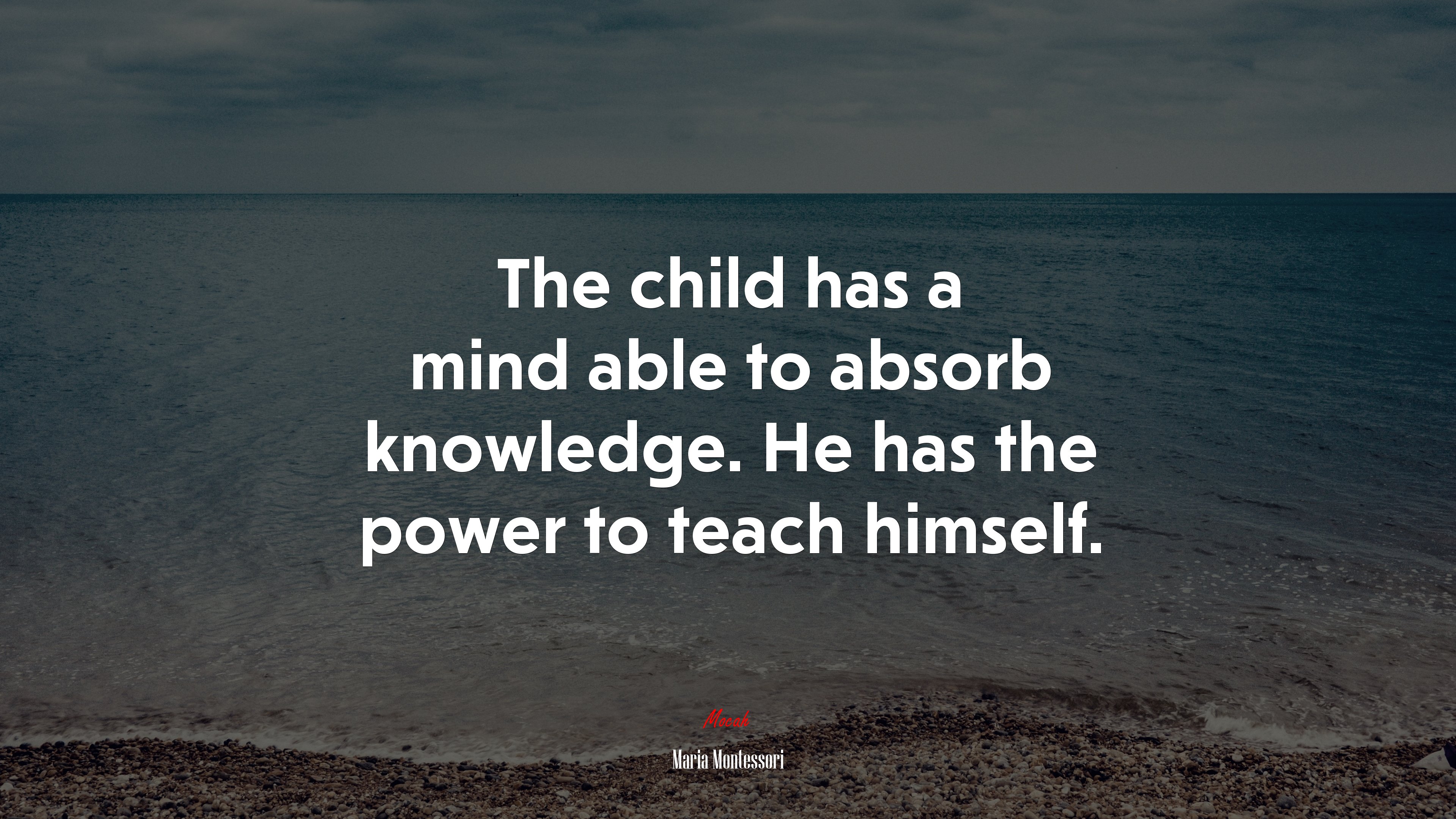 The child has a mind able to absorb knowledge. He has the power to teach himself. | Maria Montessori quote HD Wallpaper