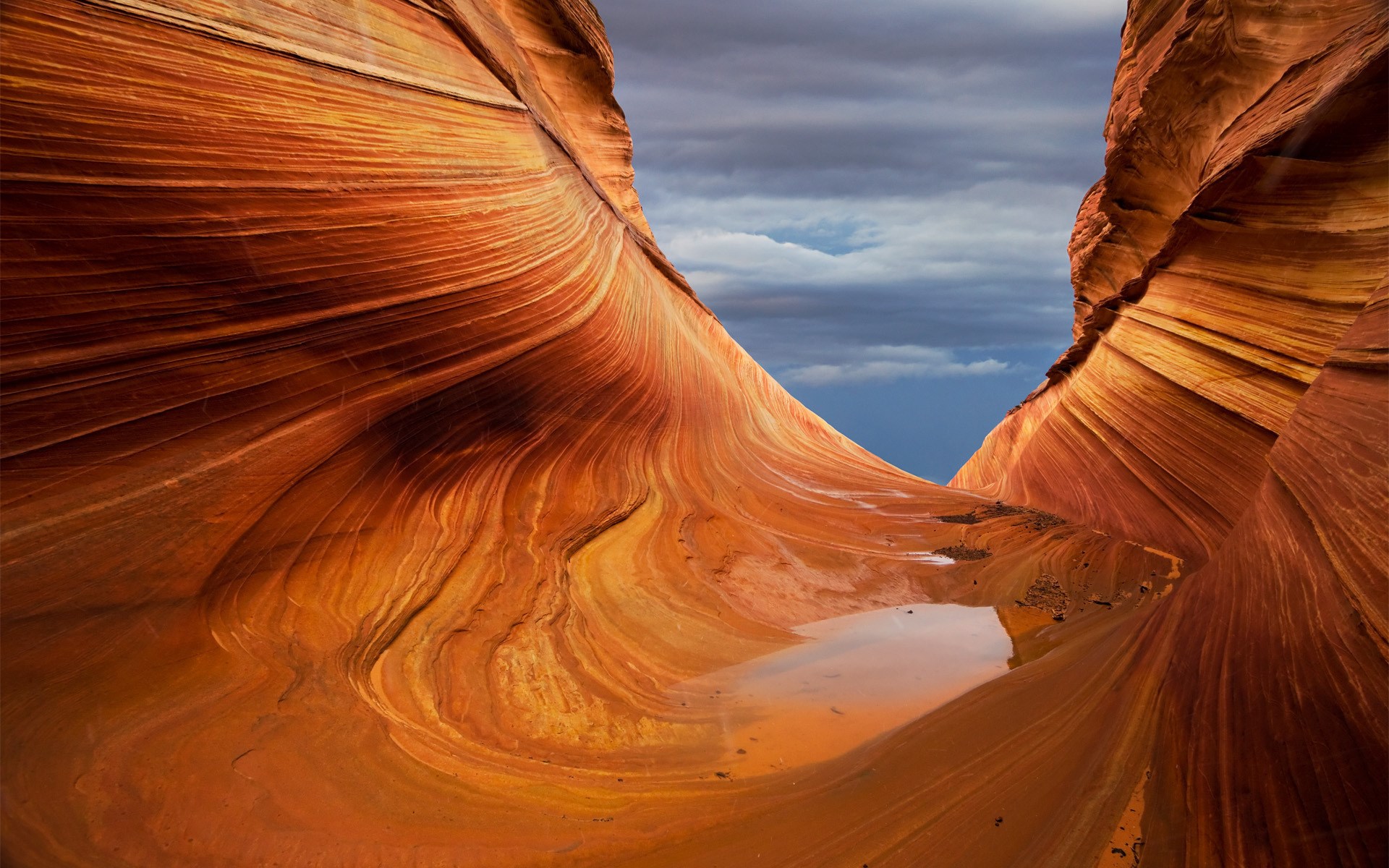 The Wave sandstone formation with a pool of water HD Wallpaper
