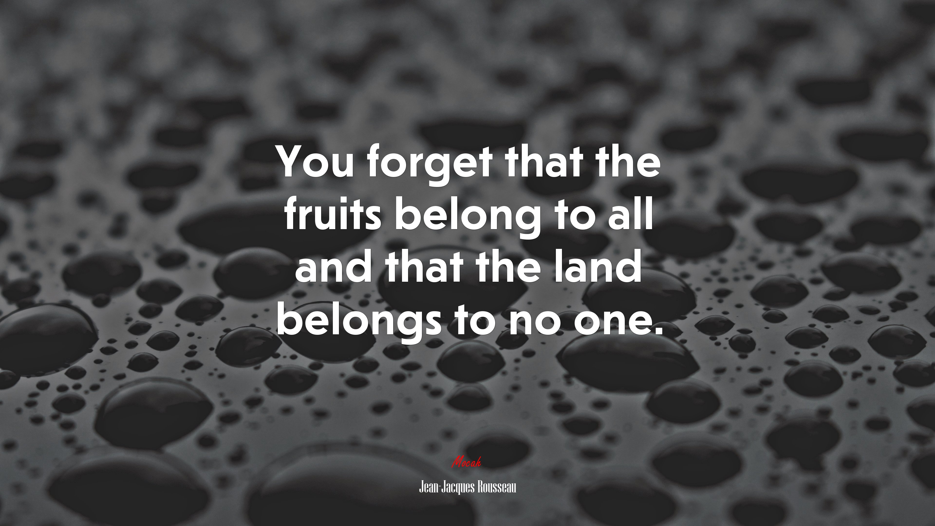 You forget that the fruits belong to all and that the land belongs to no one. | Jean-Jacques Rousseau quote HD Wallpaper